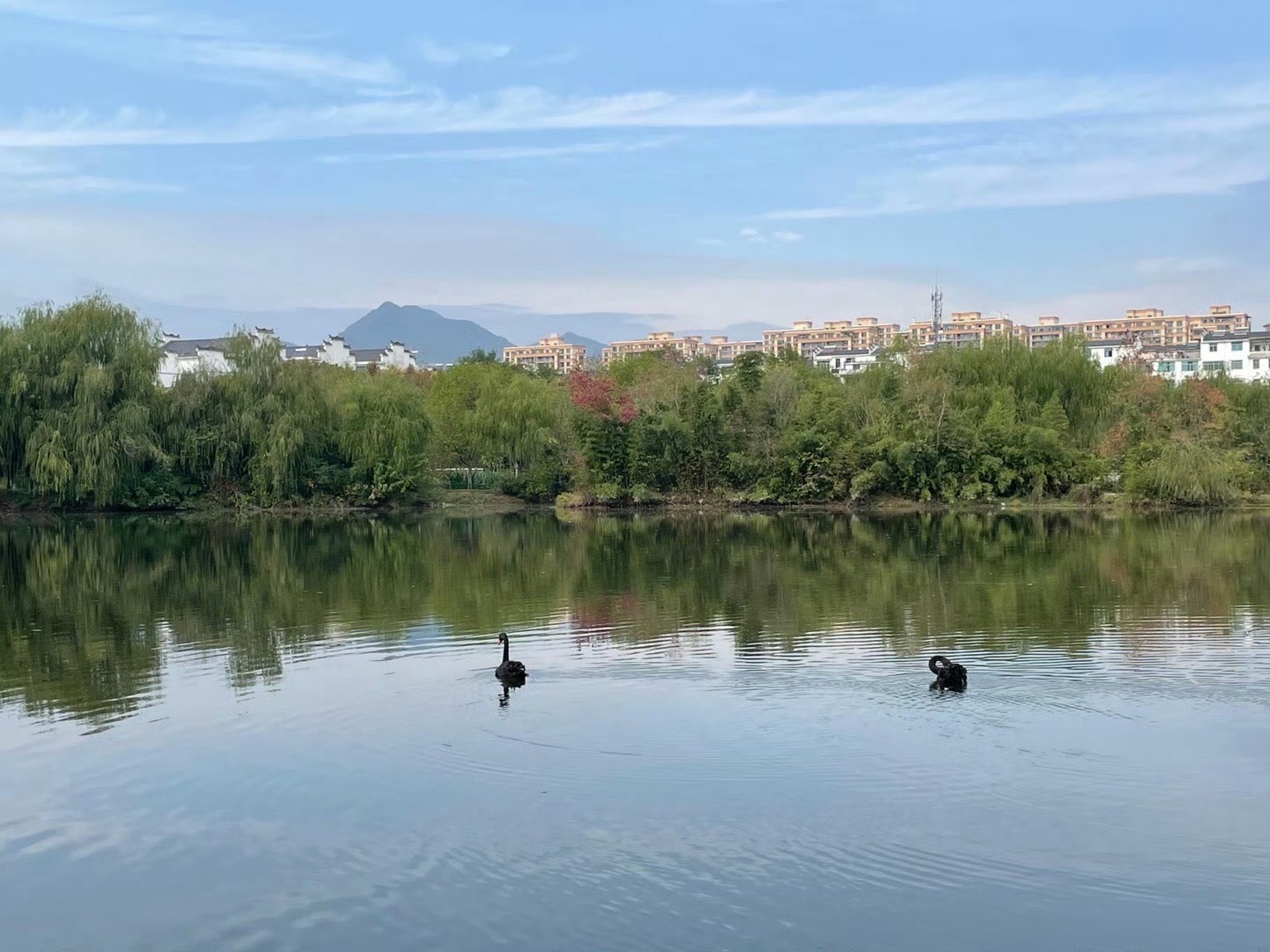 浦阳江国家湿地公园旅行图片 2