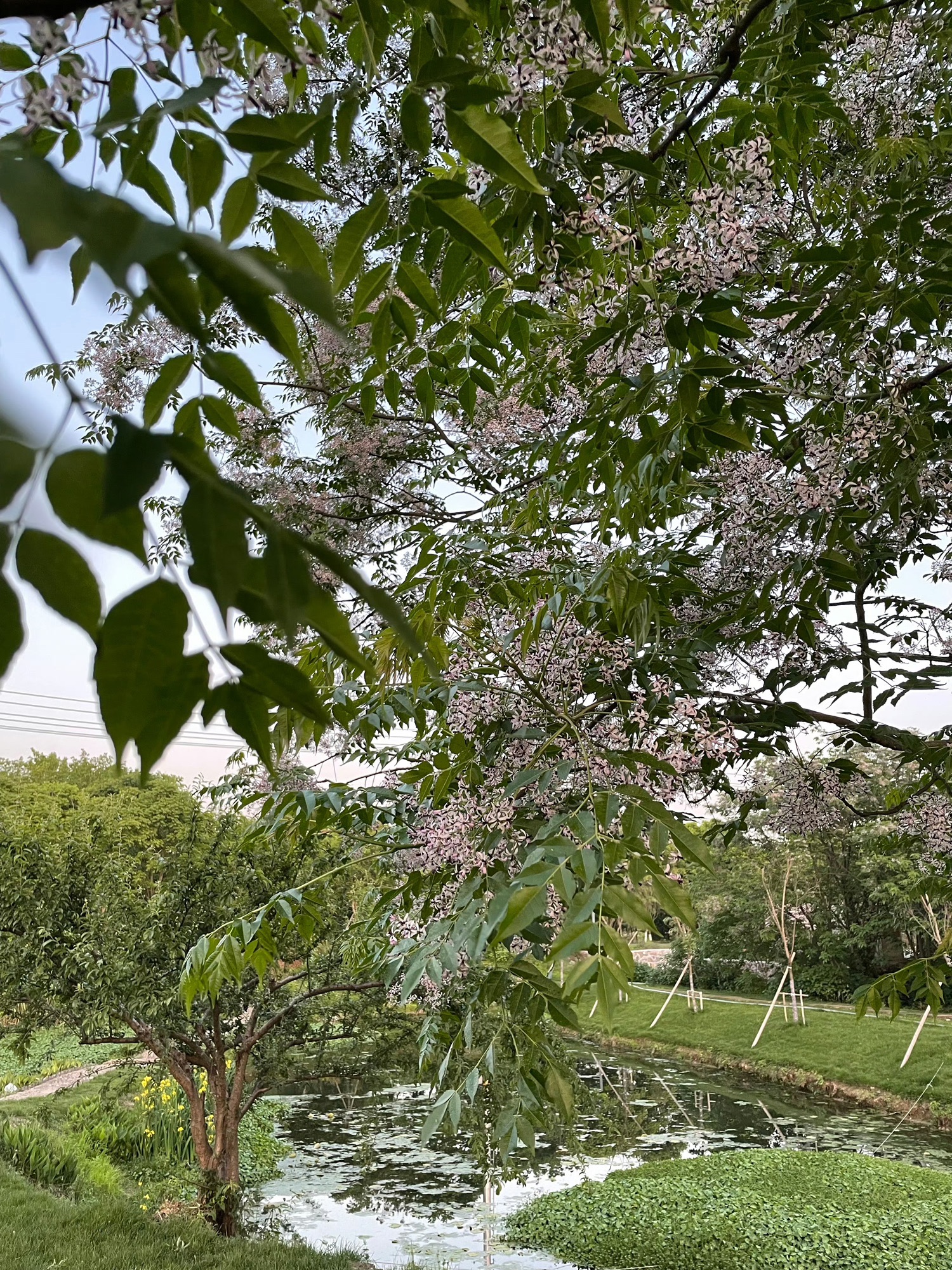 浦阳江国家湿地公园旅行图片 3