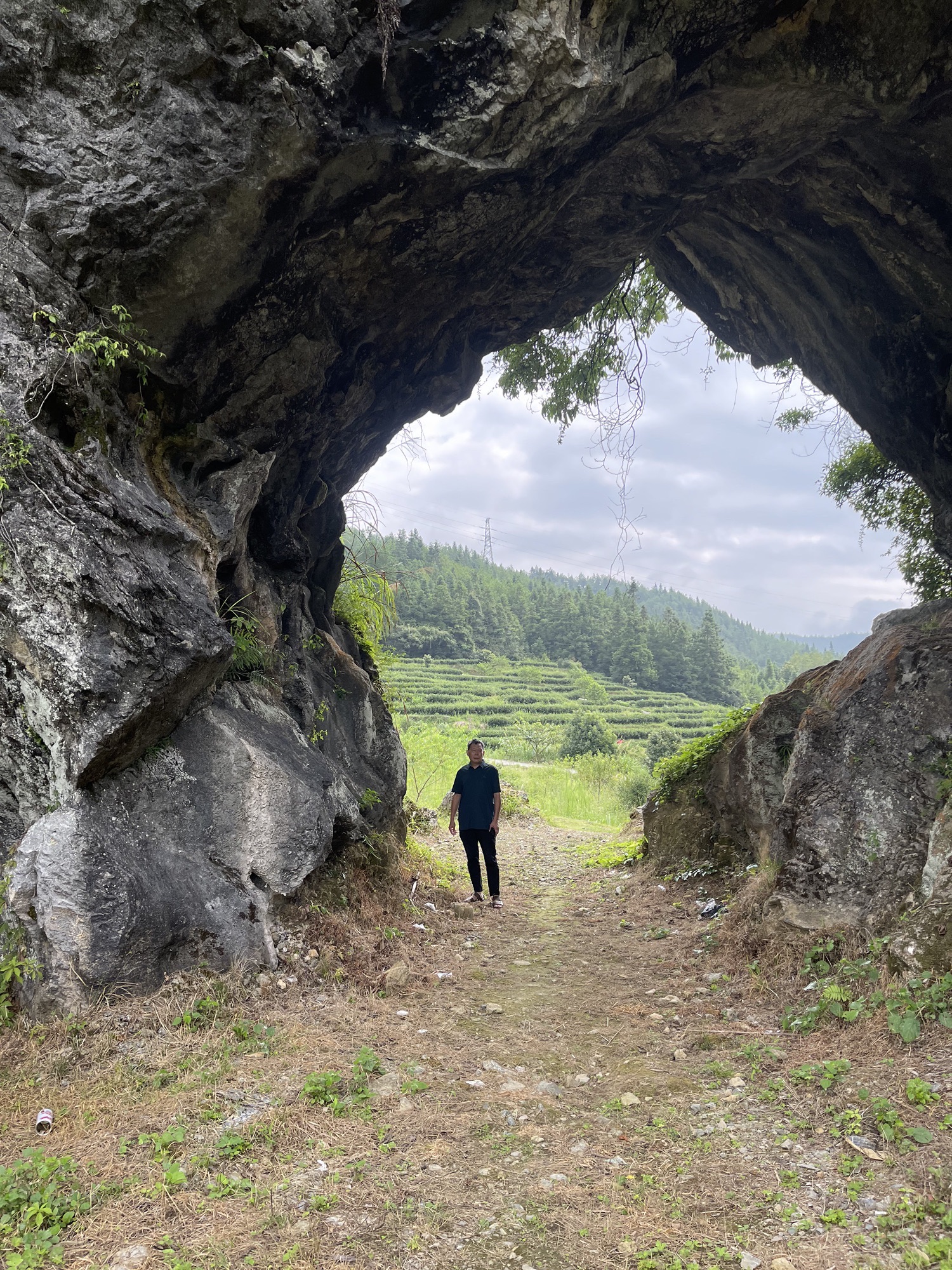 望月崖景点旅行图片 3