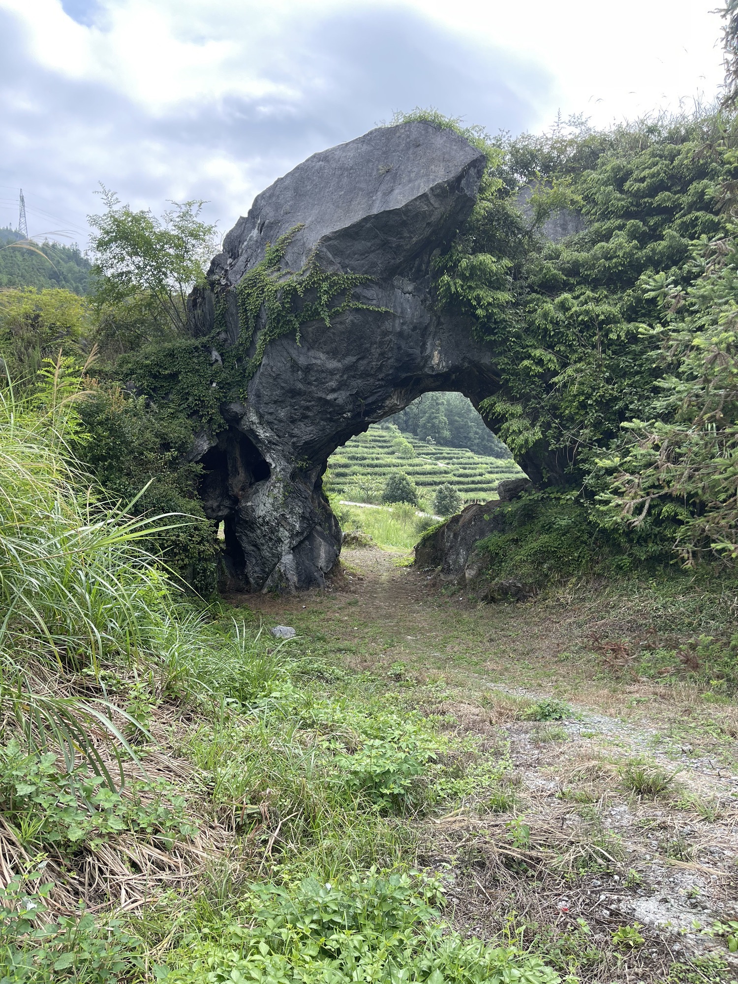 望月崖景点旅行图片 1
