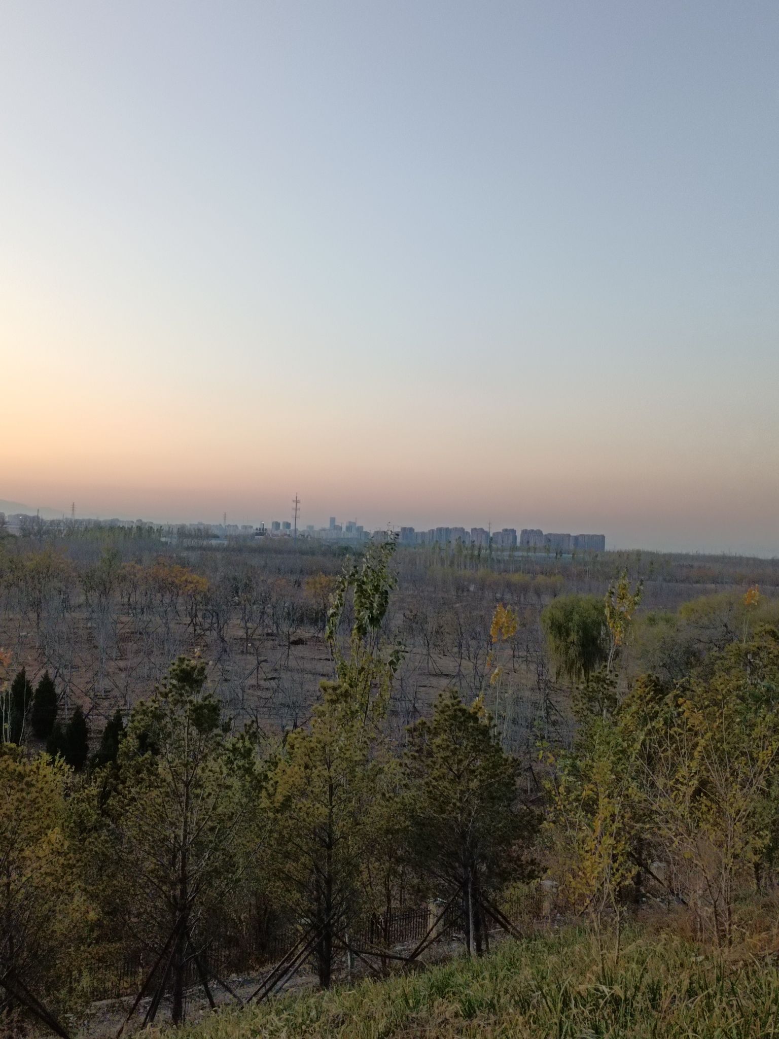 金盏森林公园旅行图片 2