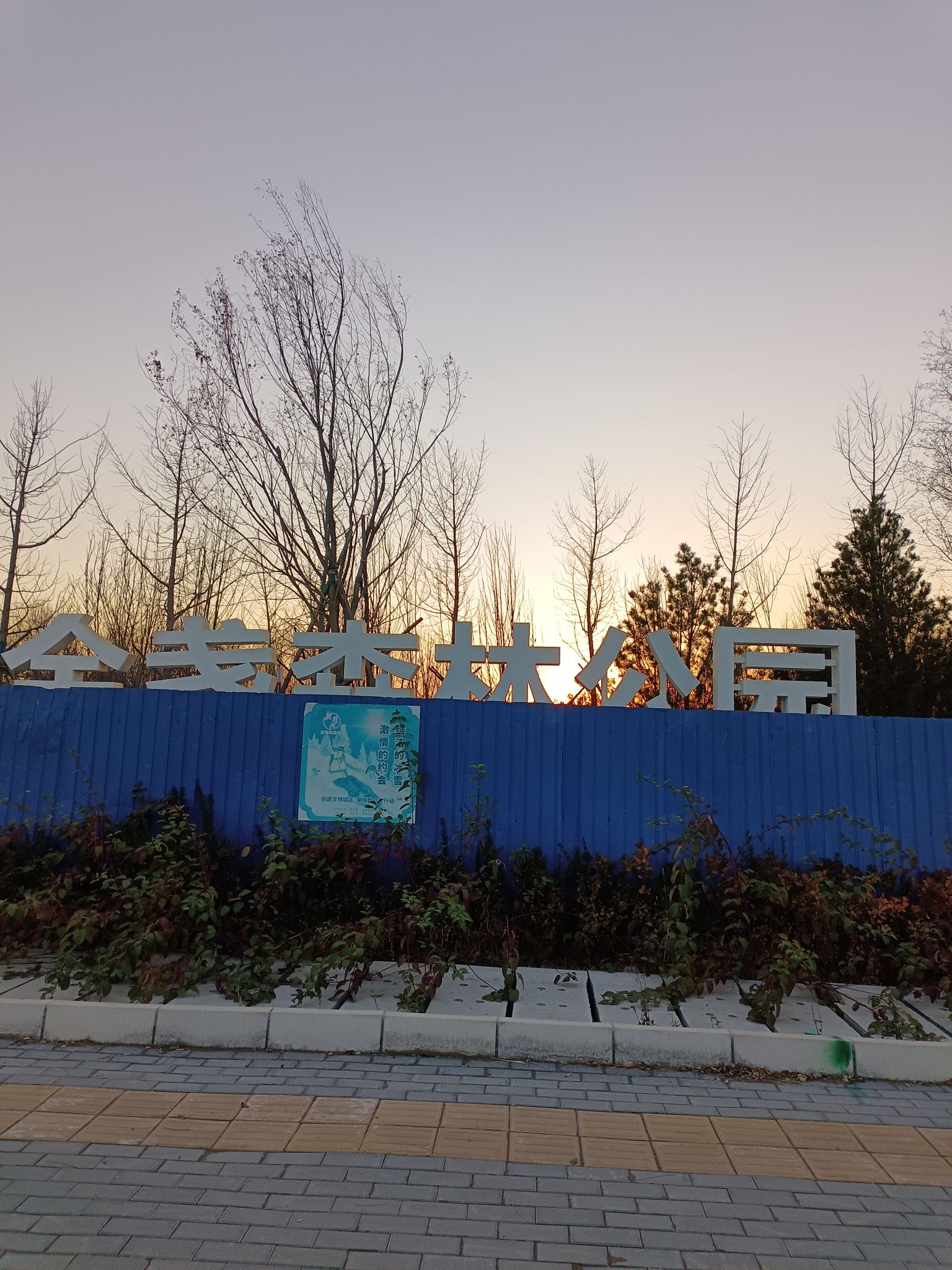 金盏森林公园旅行图片 3
