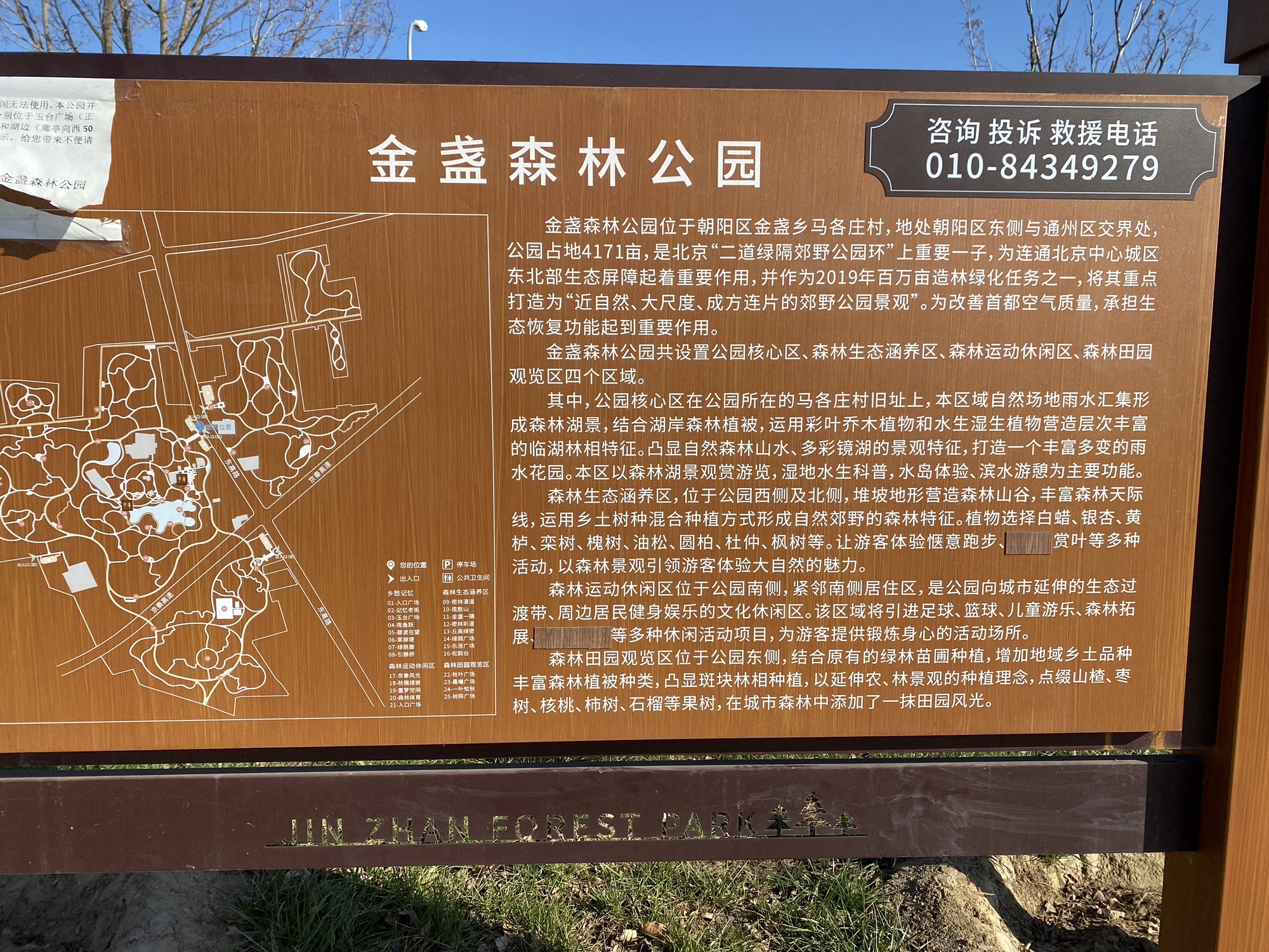 金盏森林公园旅行图片 2