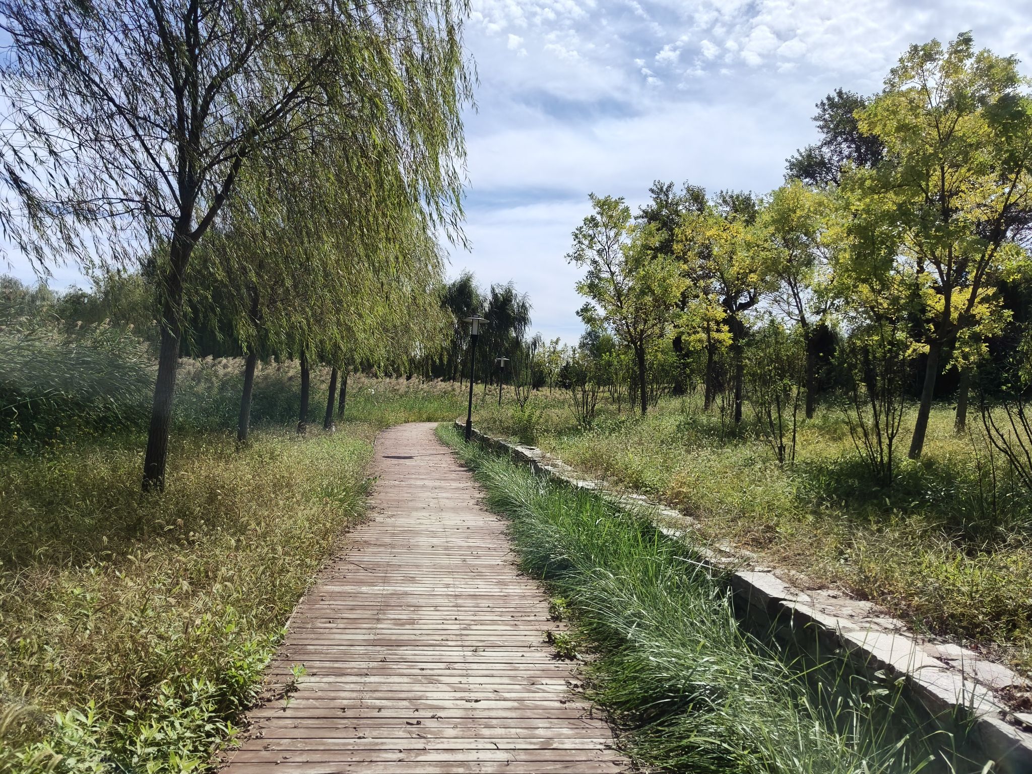 金盏森林公园旅行图片 1