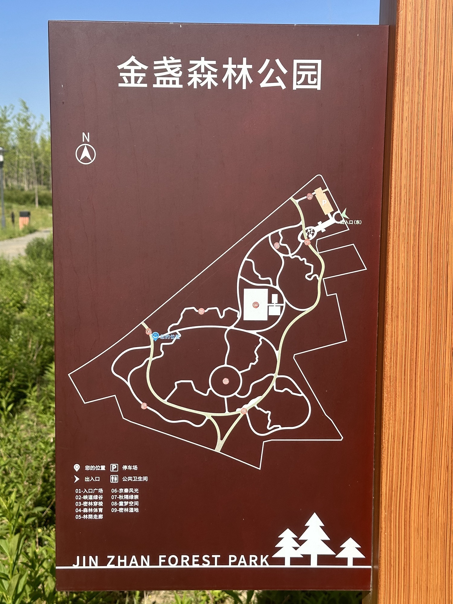 金盏森林公园旅行图片 2