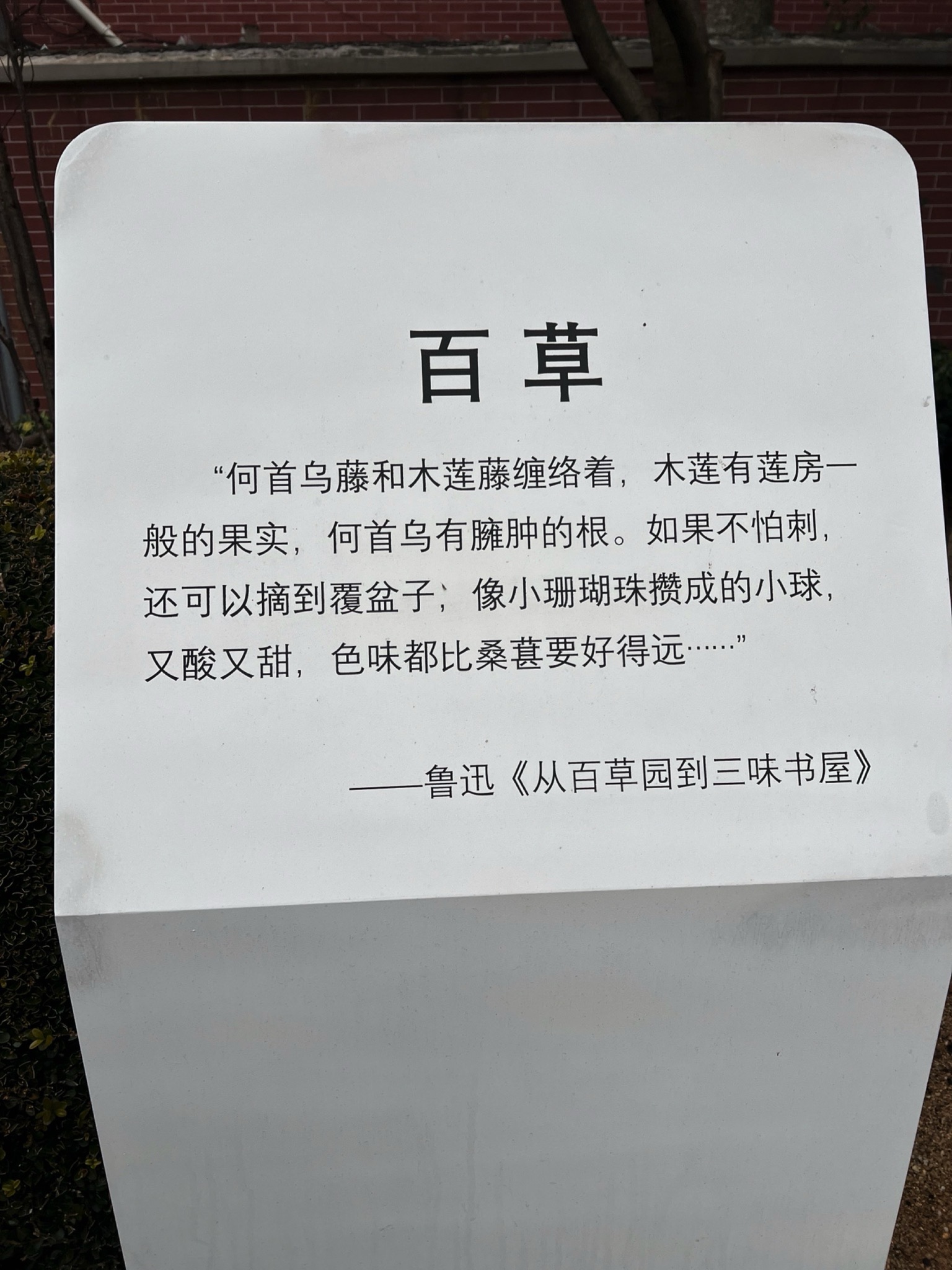 百草园旅行图片 1