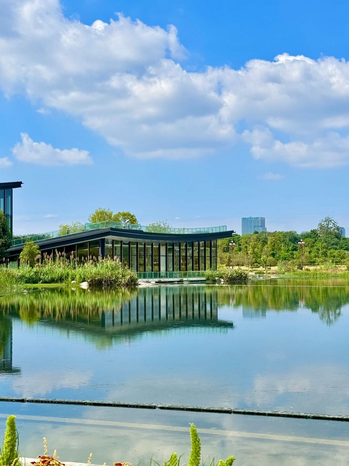 天府艺术公园旅行图片 1