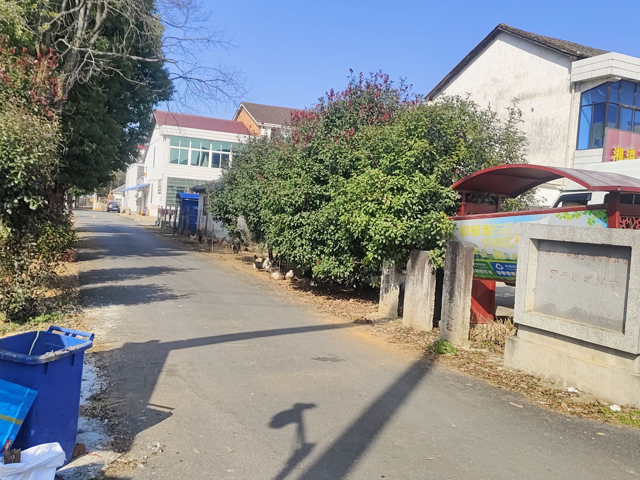 罗子国城遗址旅行图片 3
