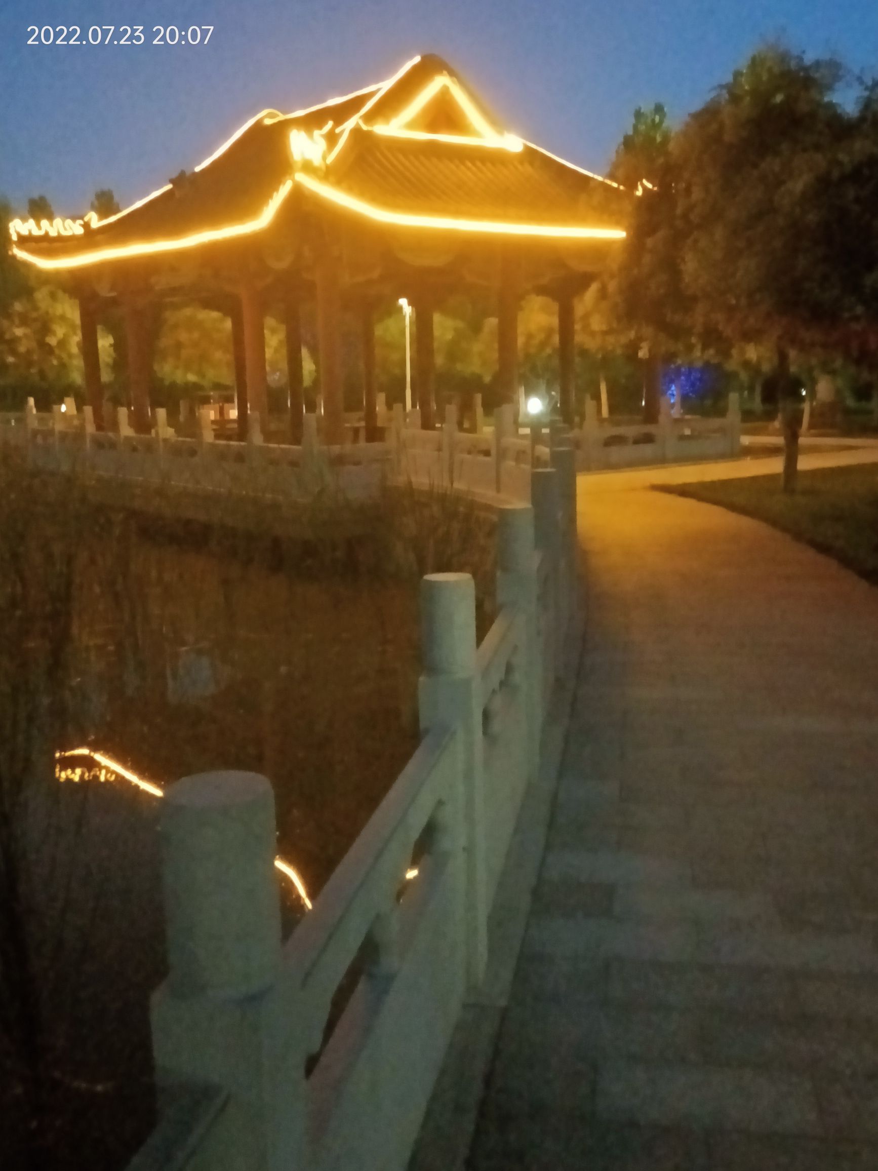 东阜人民公园旅行图片 2