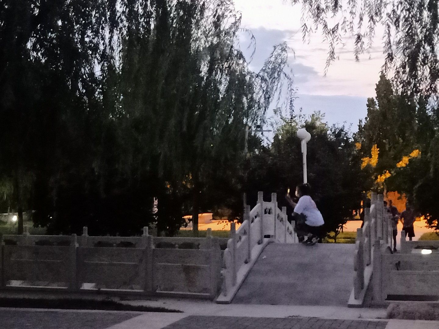 东阜人民公园旅行图片 3