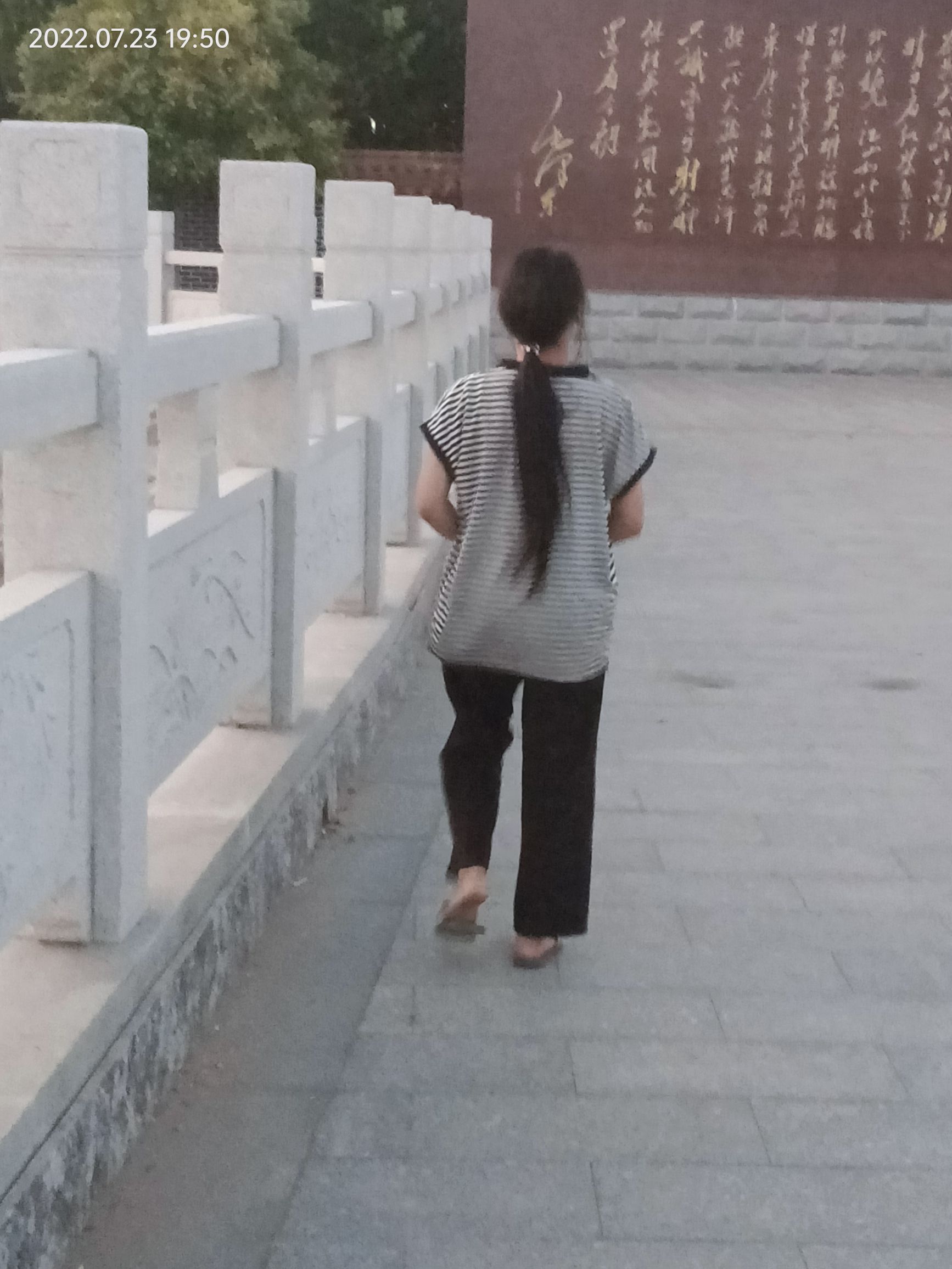 东阜人民公园旅行图片 3