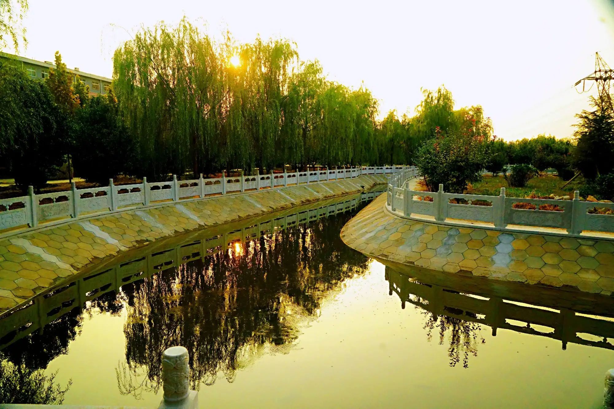 东阜人民公园旅行图片 3
