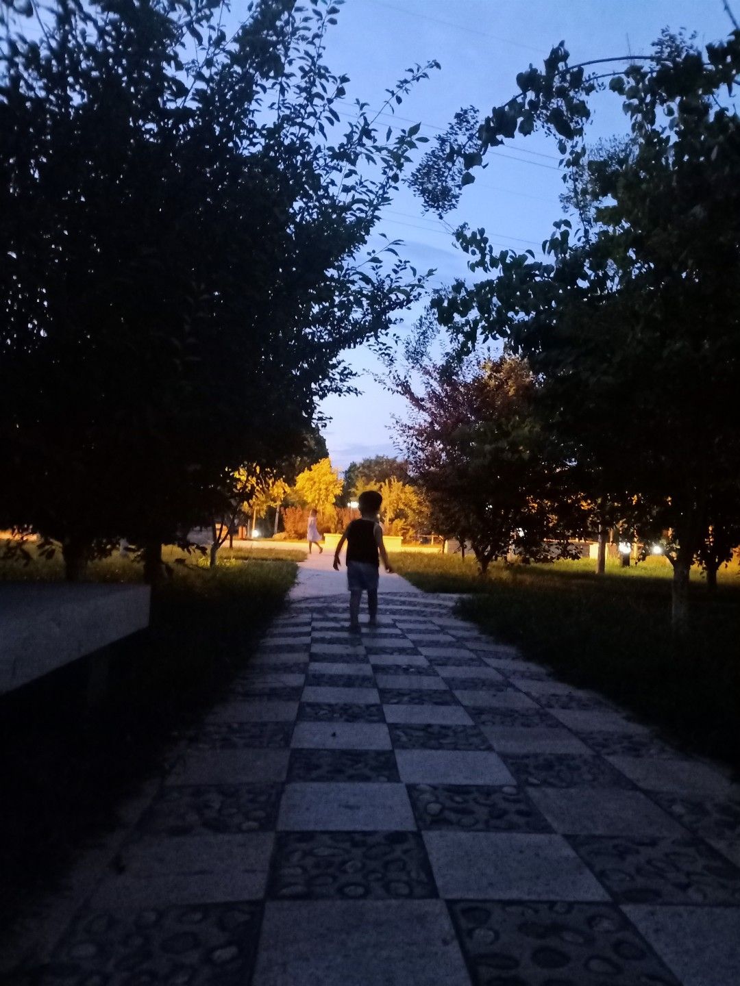 东阜人民公园旅行图片 2