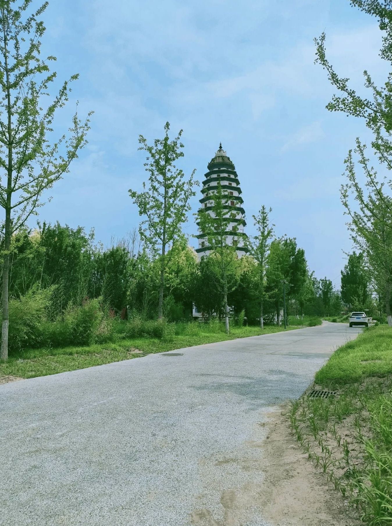 雄安郊野公园旅行图片 3