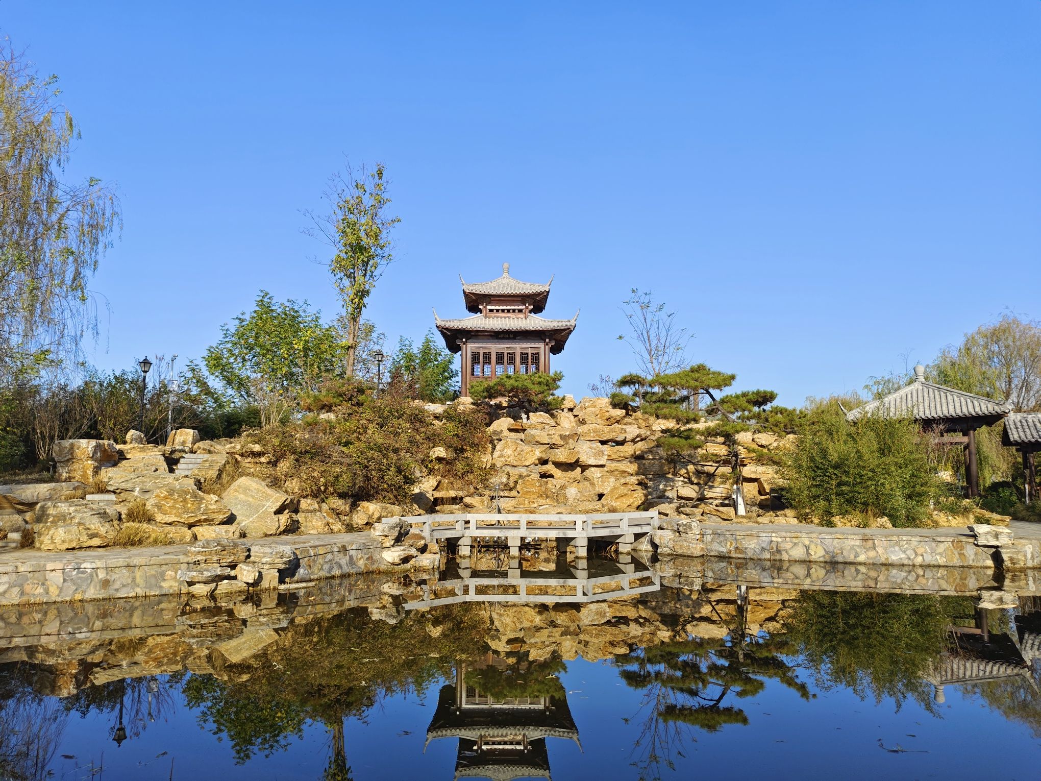 雄安郊野公园旅行图片 3