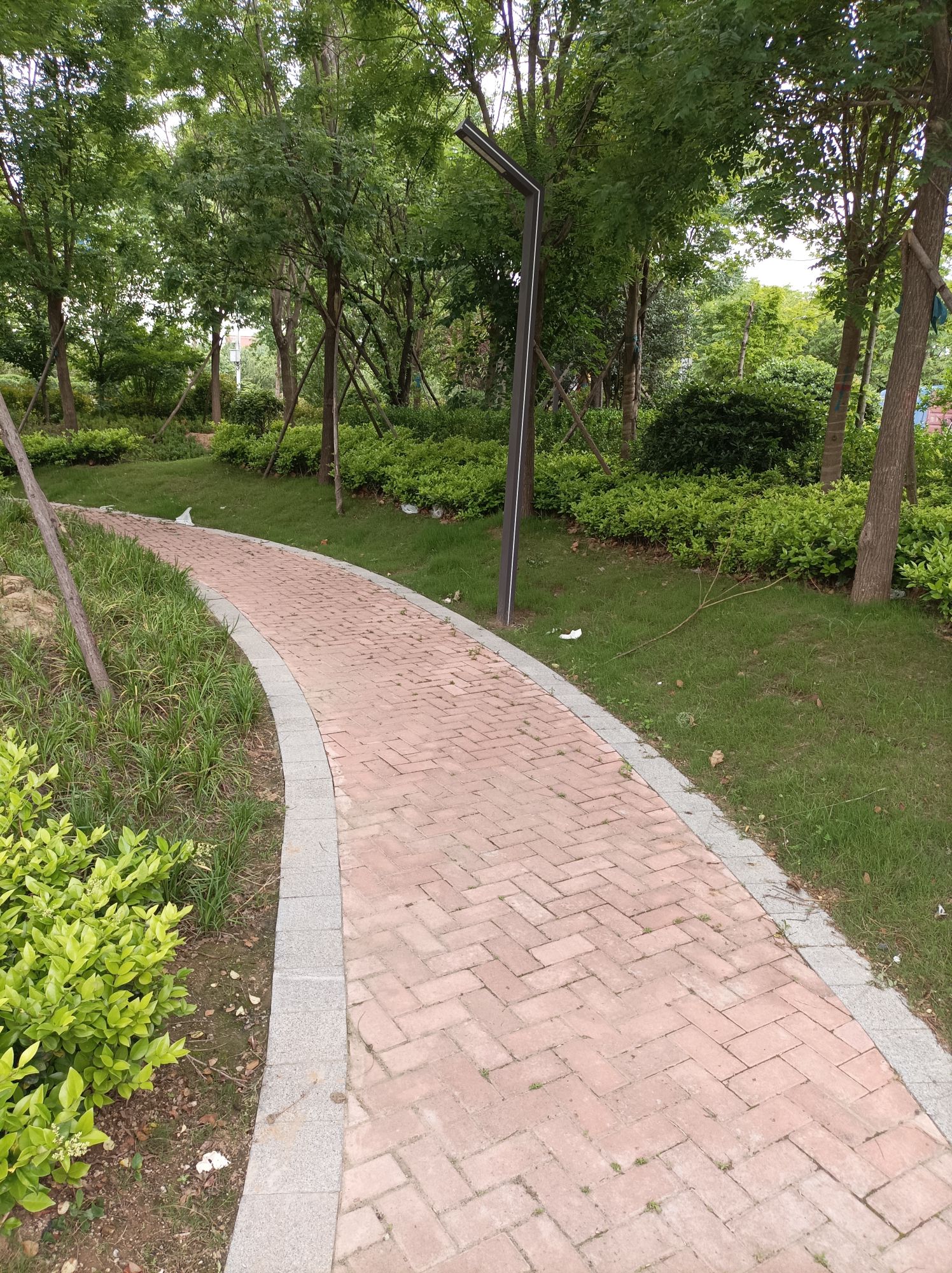 和煦园旅行图片 2