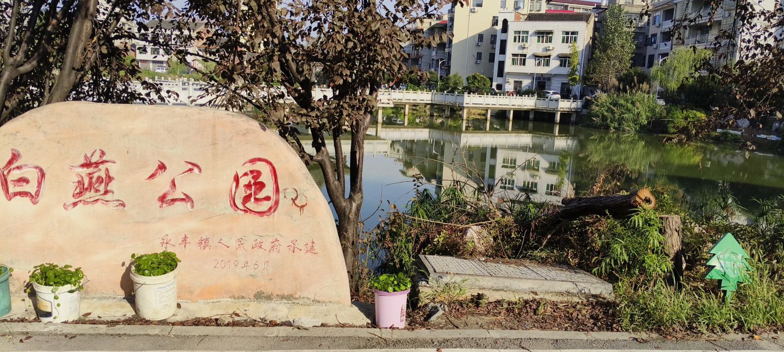 白燕公园旅行图片 3