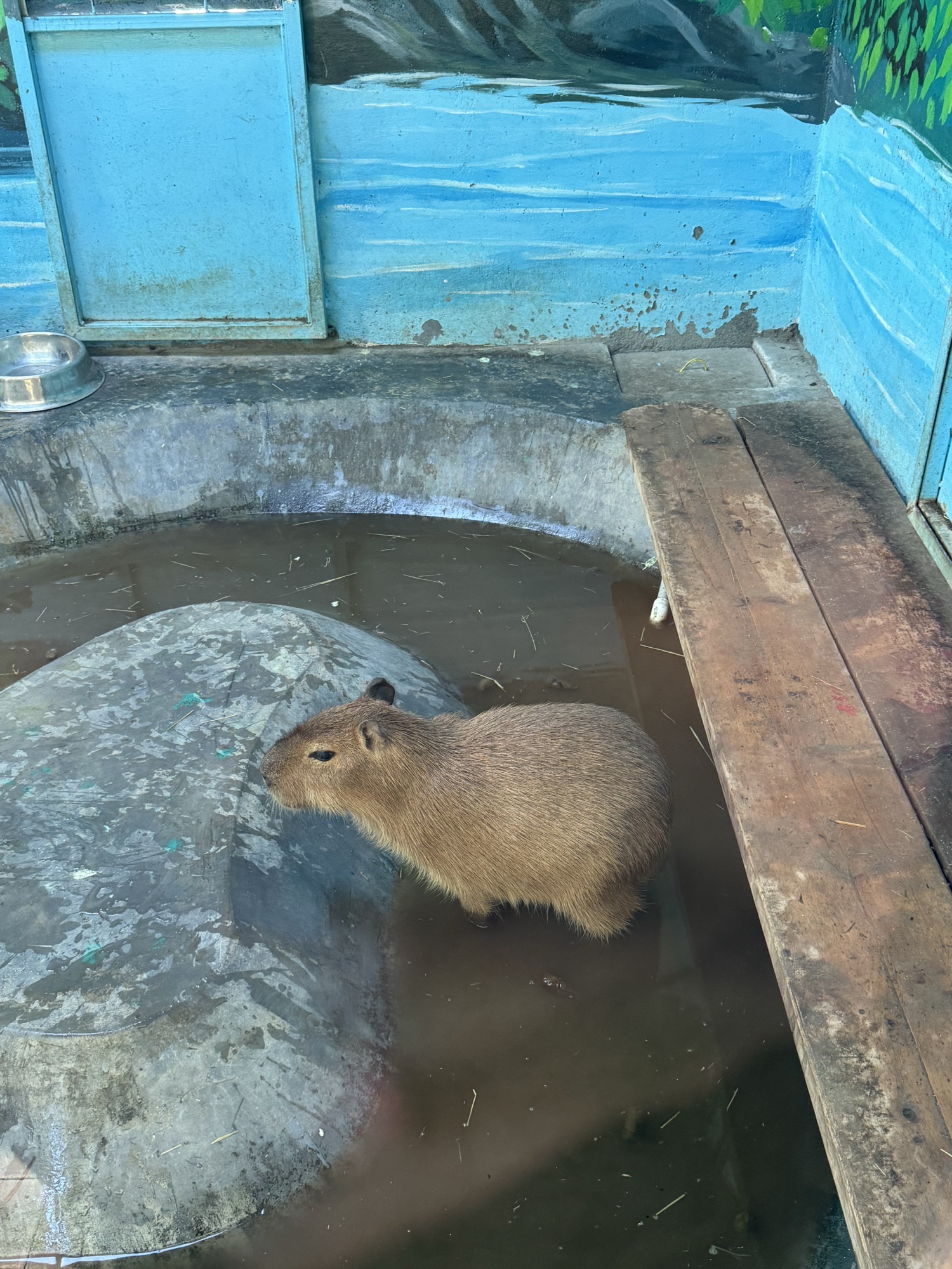 徐州九顶山野生动物园旅行图片 1