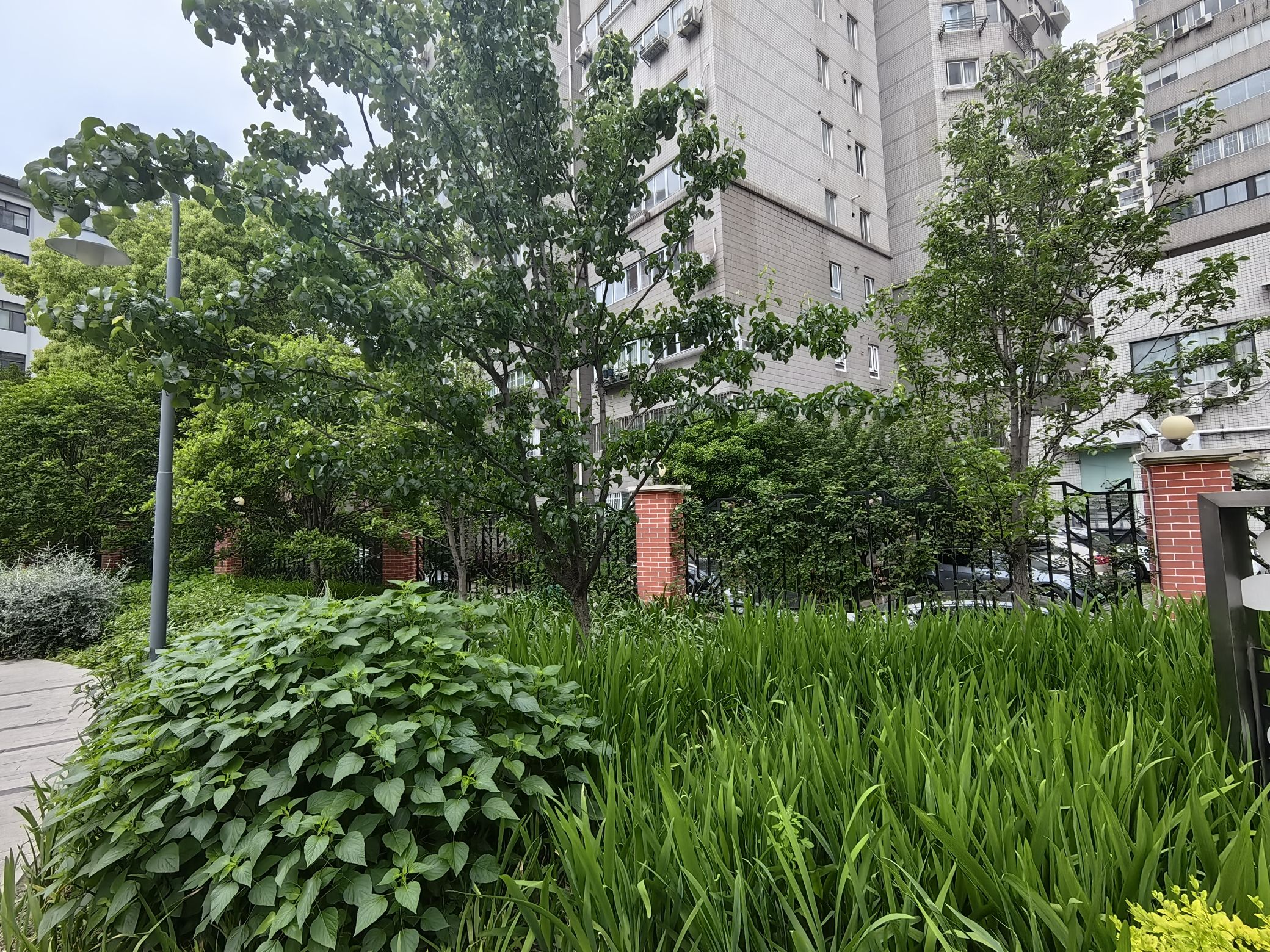 新会花园旅行图片 3