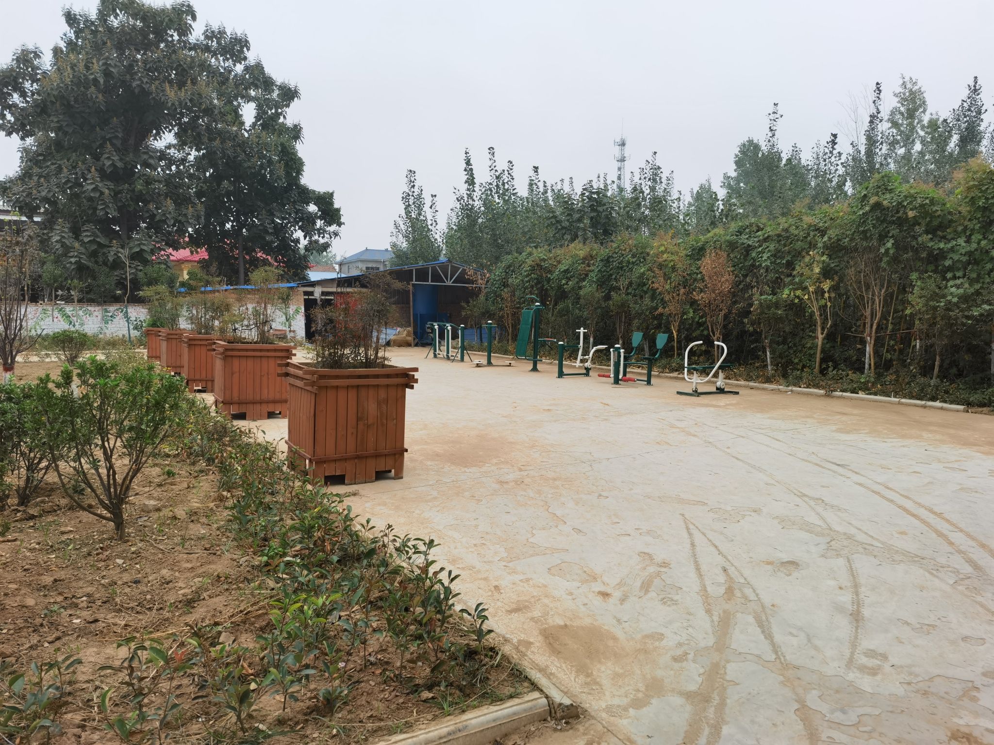 蔡邕墓旅行图片 1