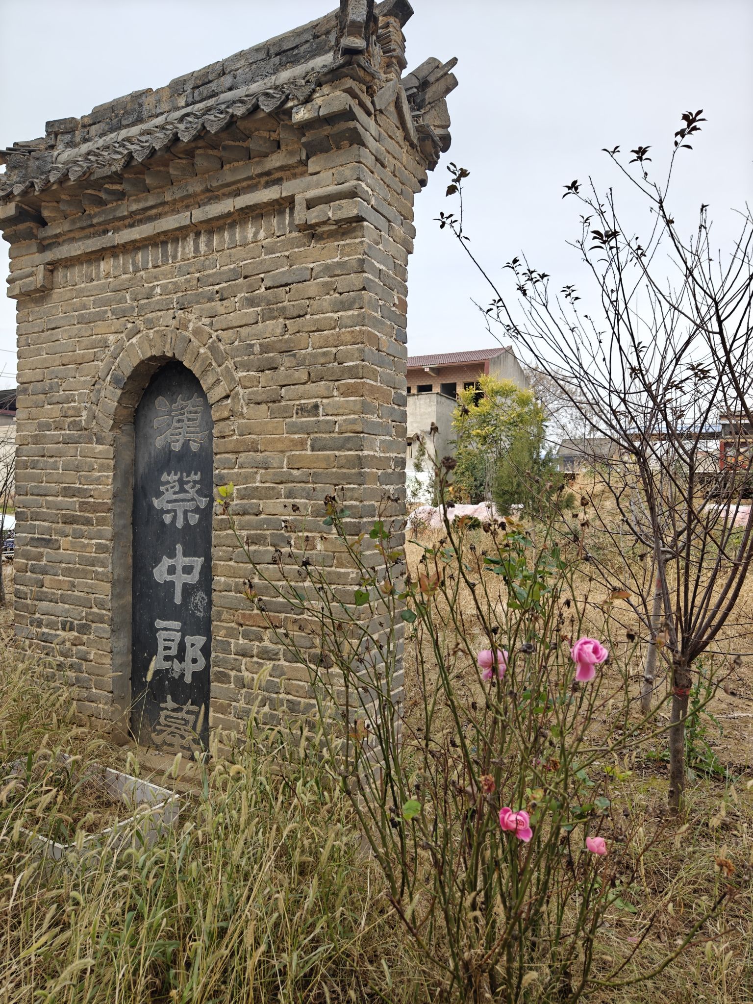 蔡邕墓旅行图片 2