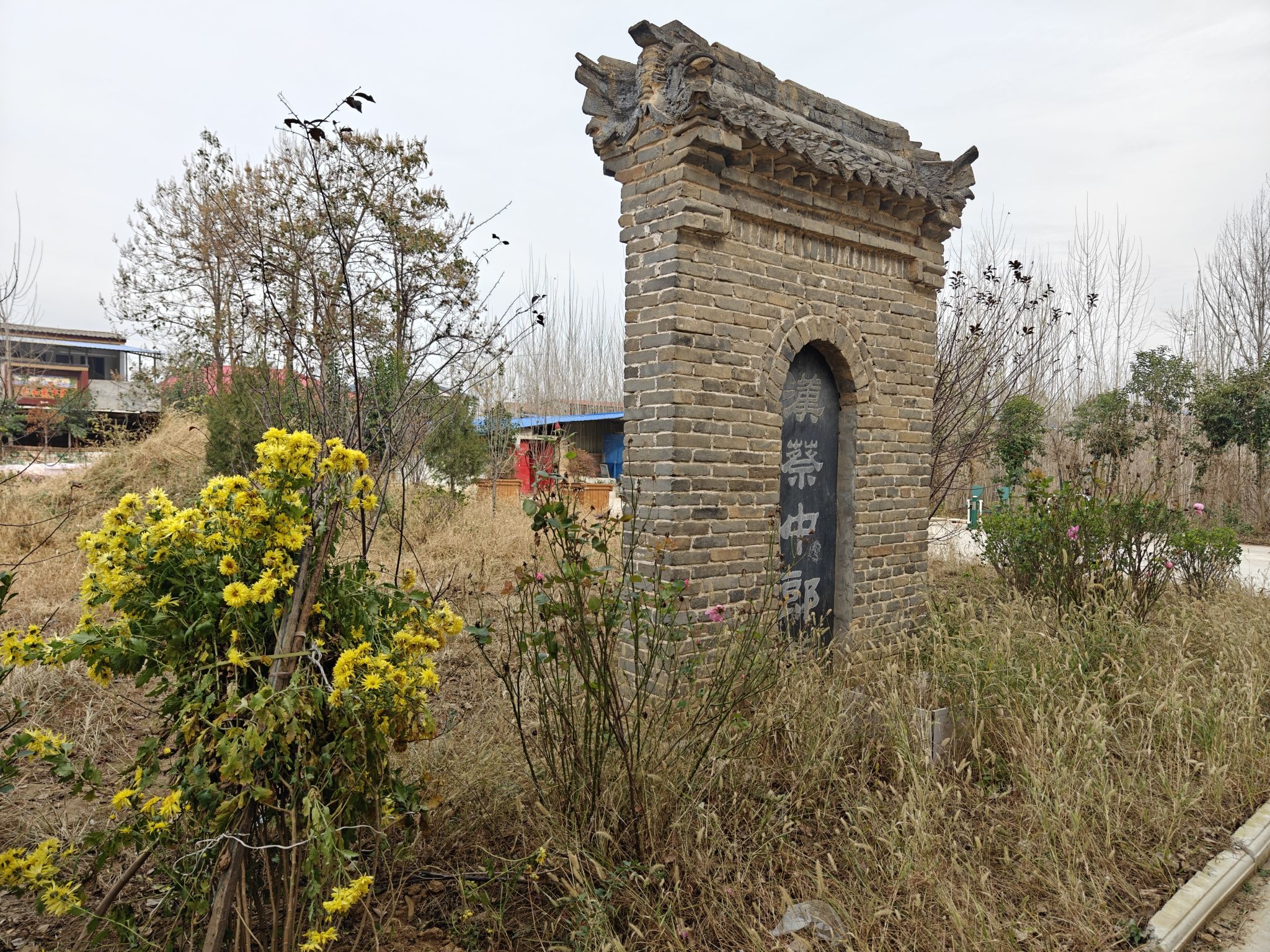 蔡邕墓旅行图片 3