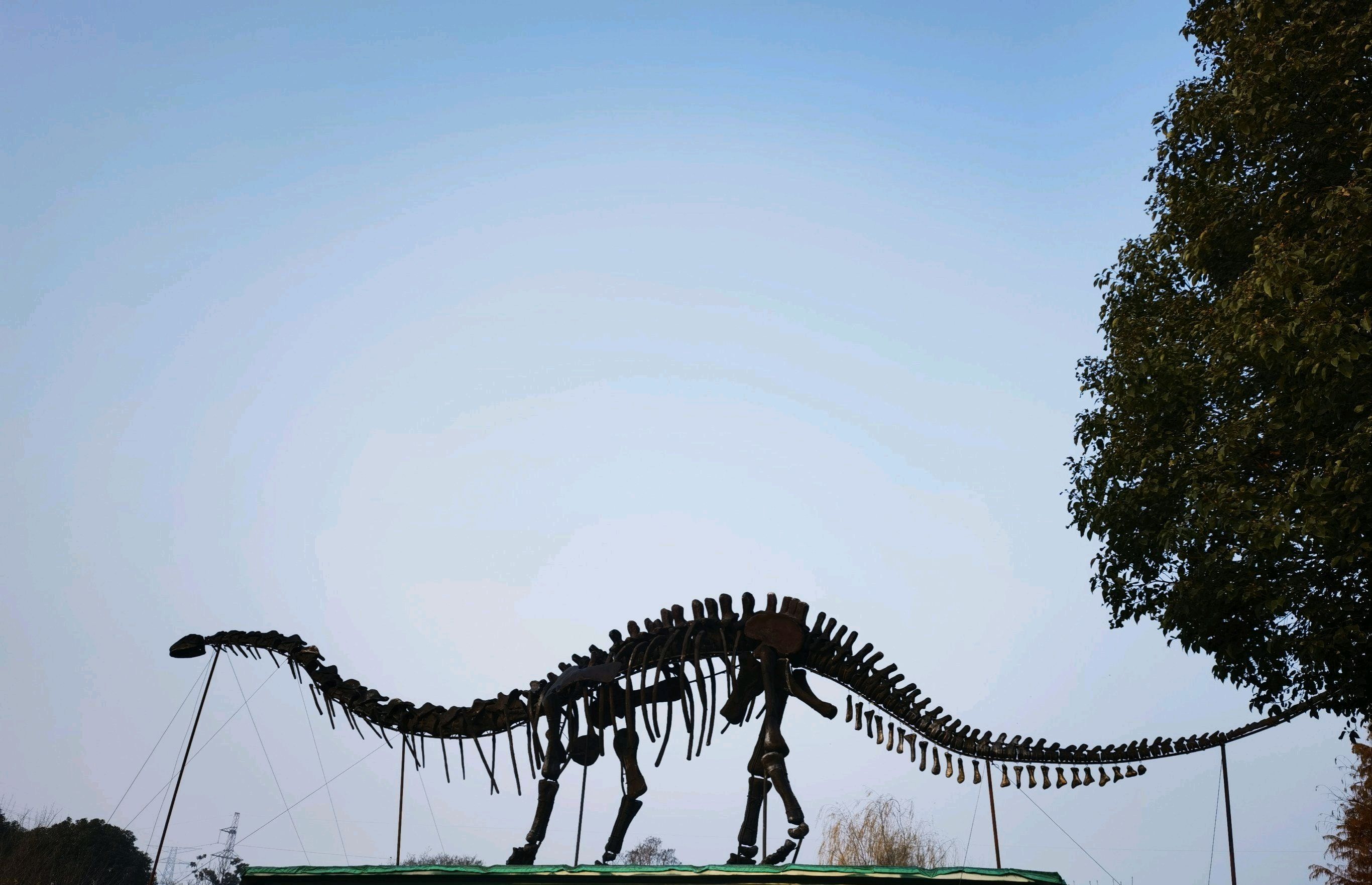 猛犸古生物自然科普馆旅行图片 1