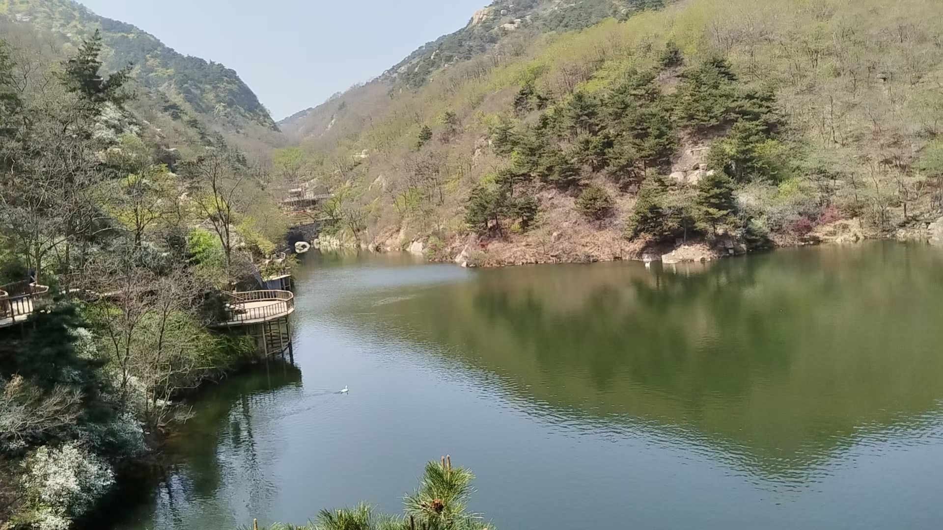 济南乐嬉谷热带雨林瀑布群旅行图片 3
