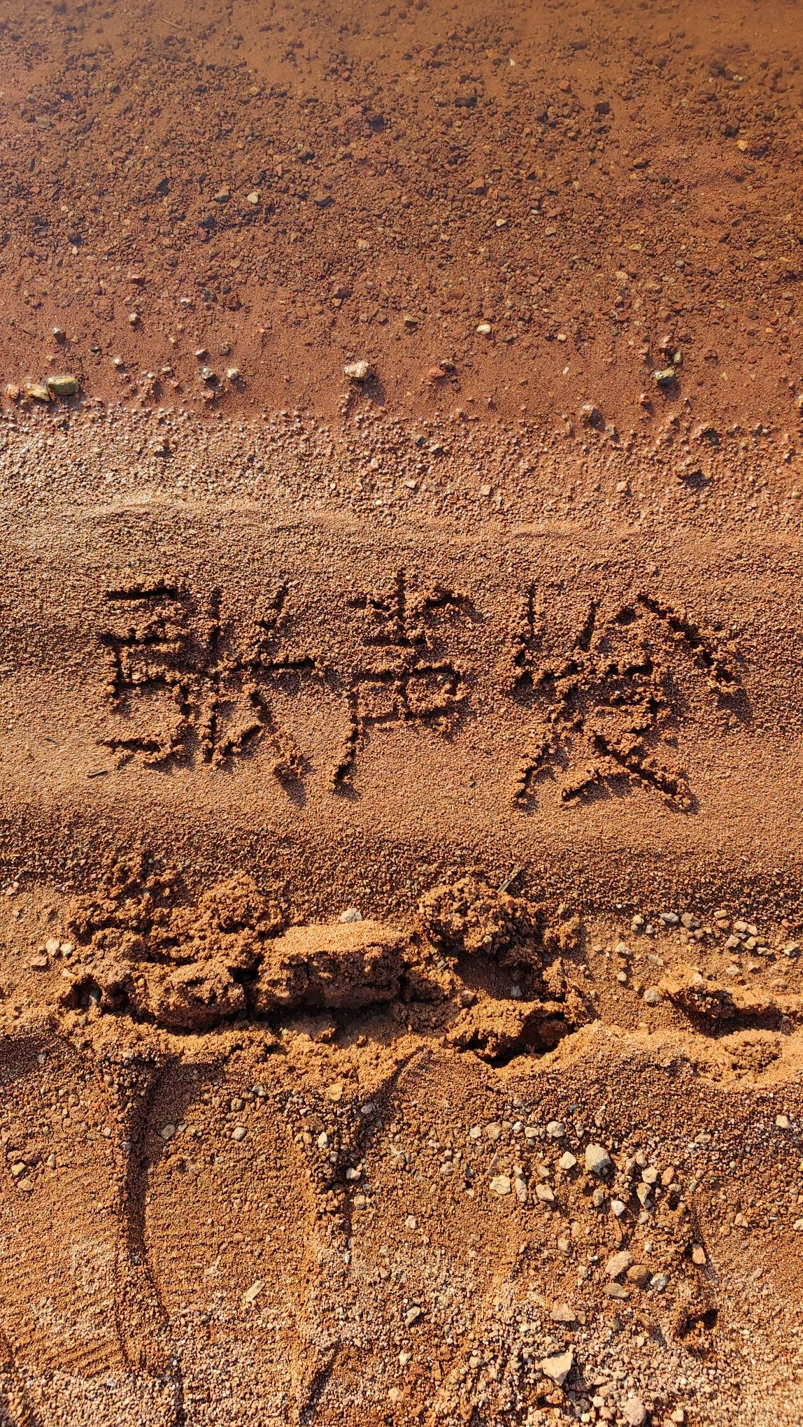 清潭公园旅行图片 3