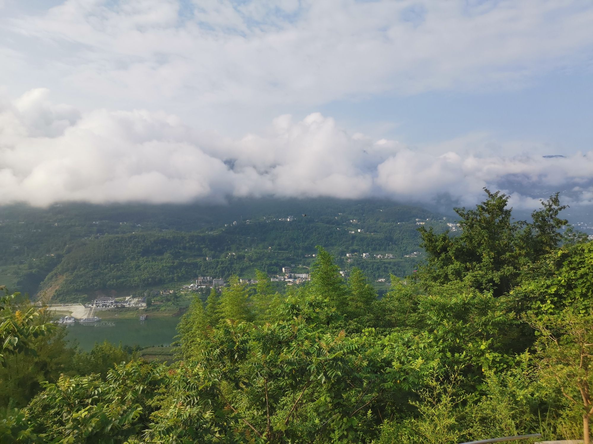 大树垭观景台