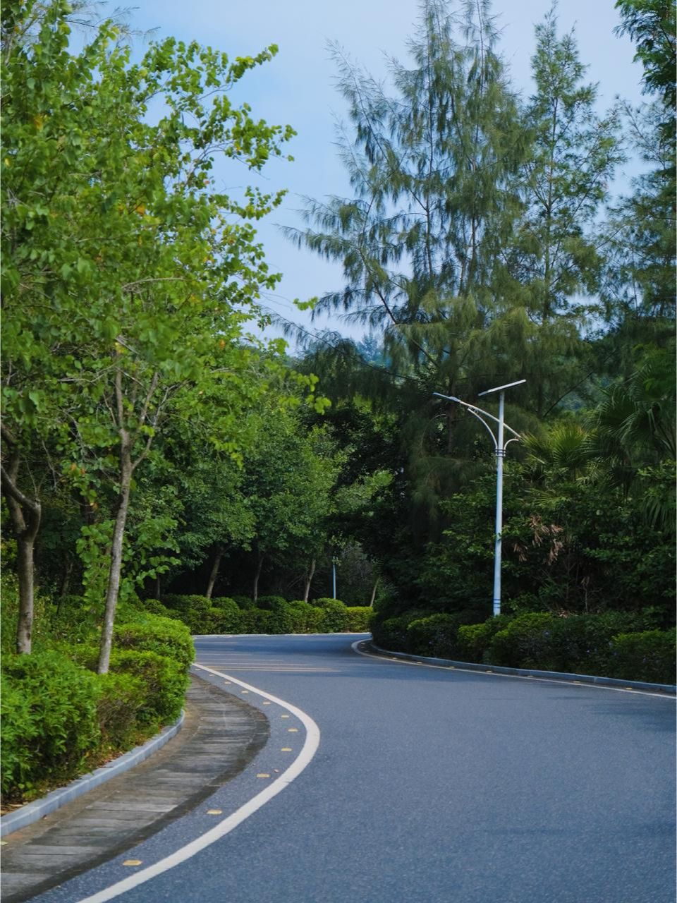 广西冠头岭国家森林公园旅行图片 2