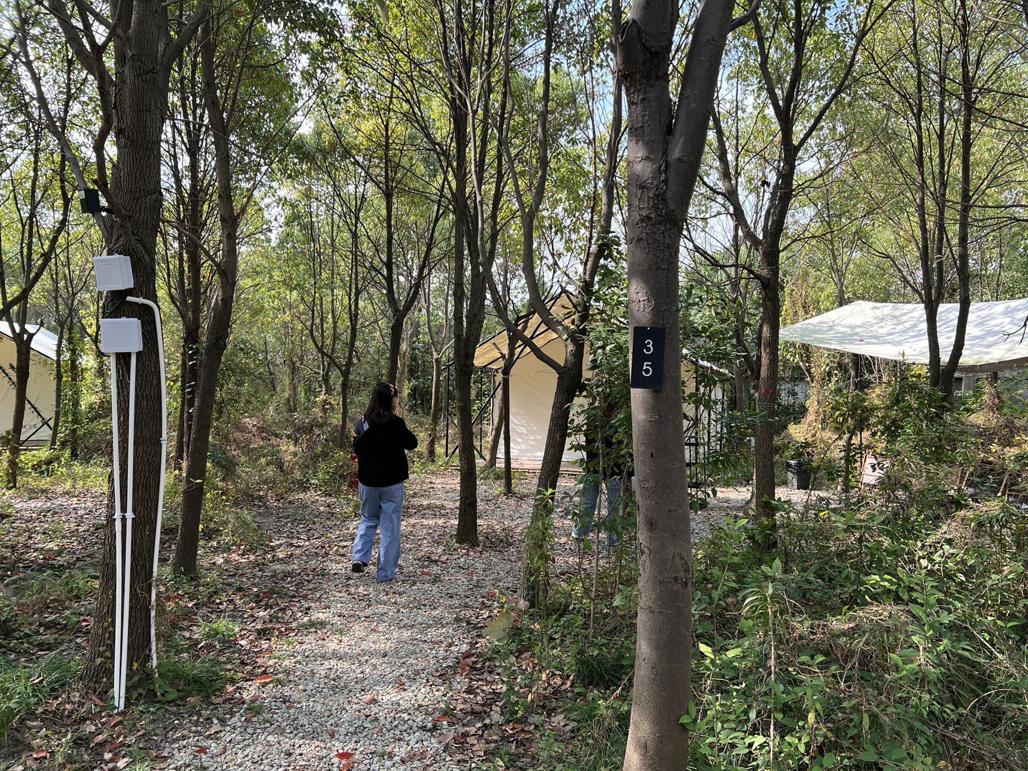 一森露营公园旅行图片 1