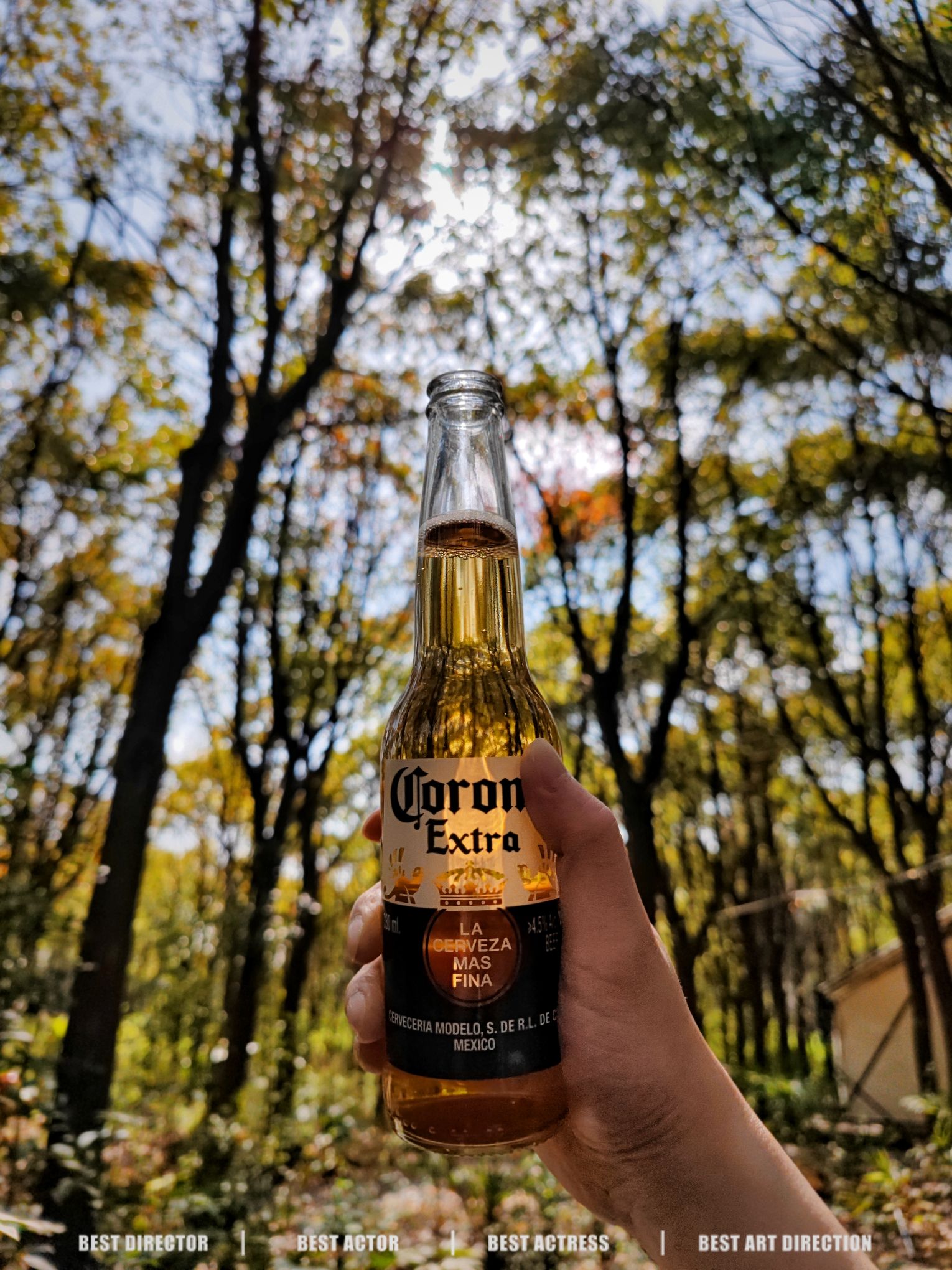 一森露营公园旅行图片 2