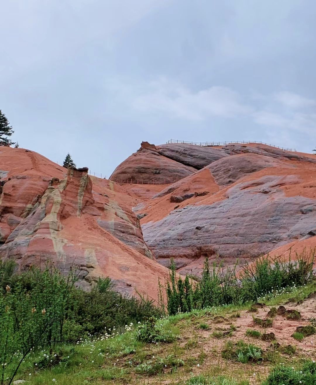 新龙红山景区旅行图片 2