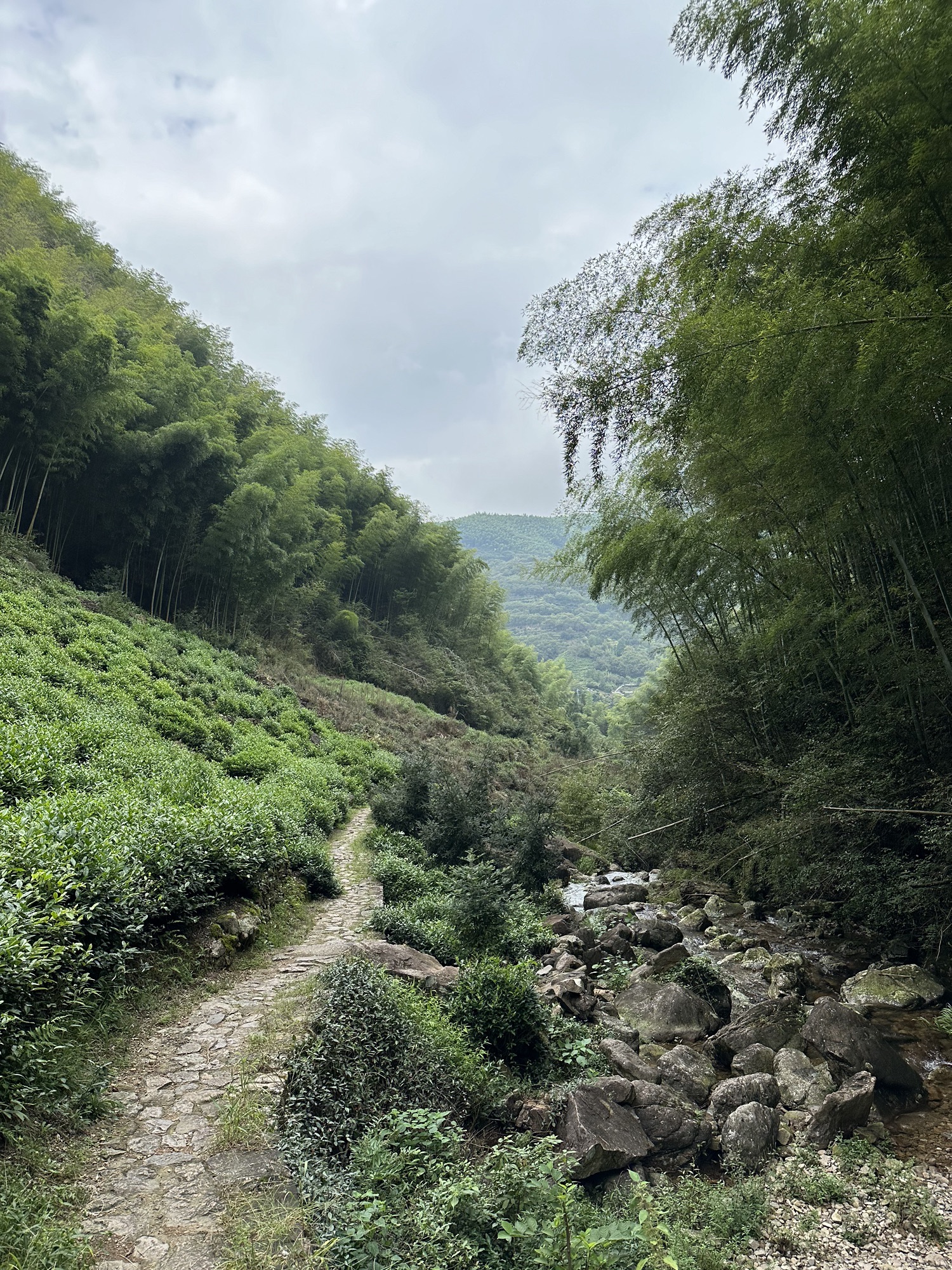 东白山游步道旅行图片 3