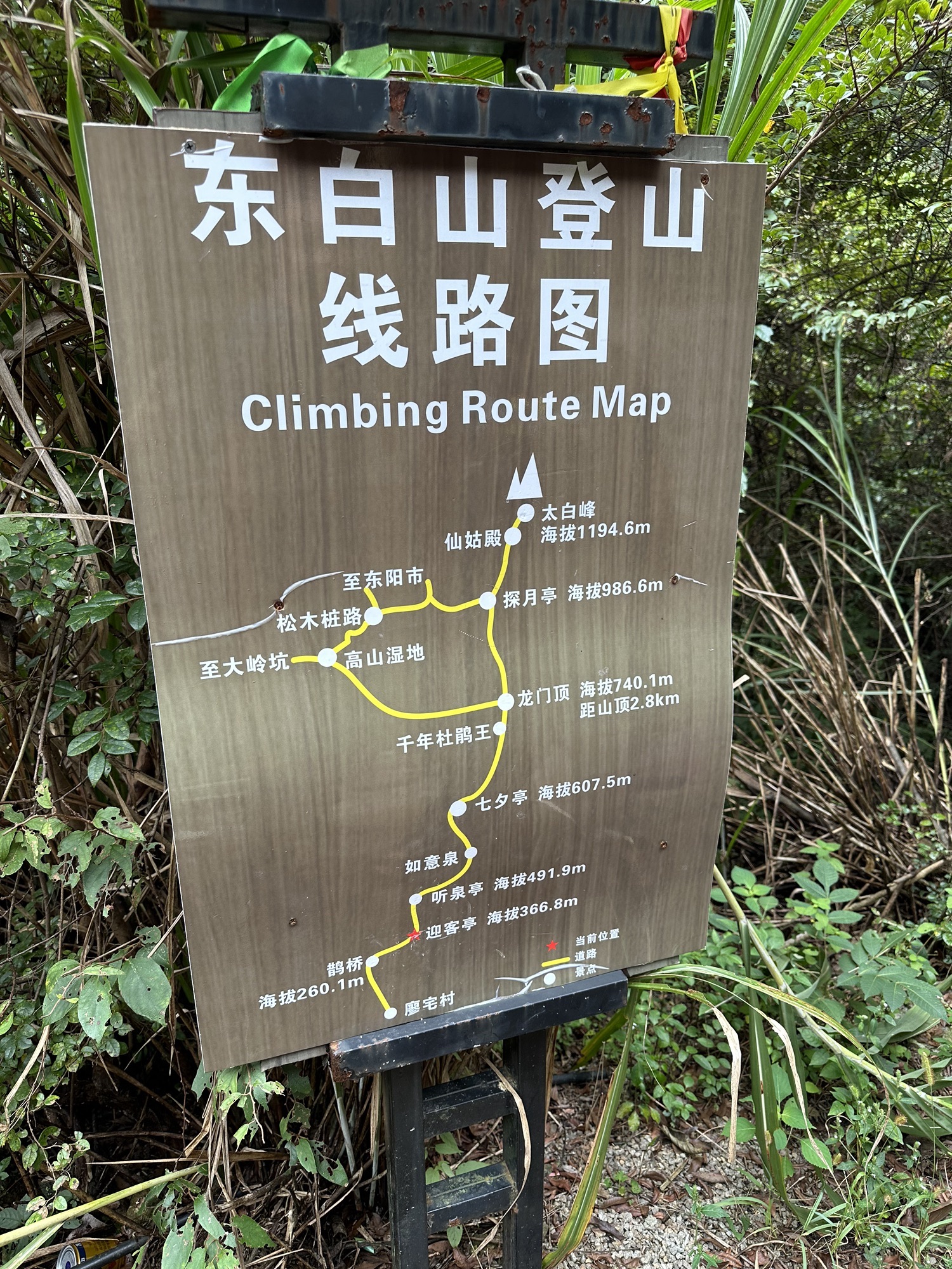 东白山游步道旅行图片 1