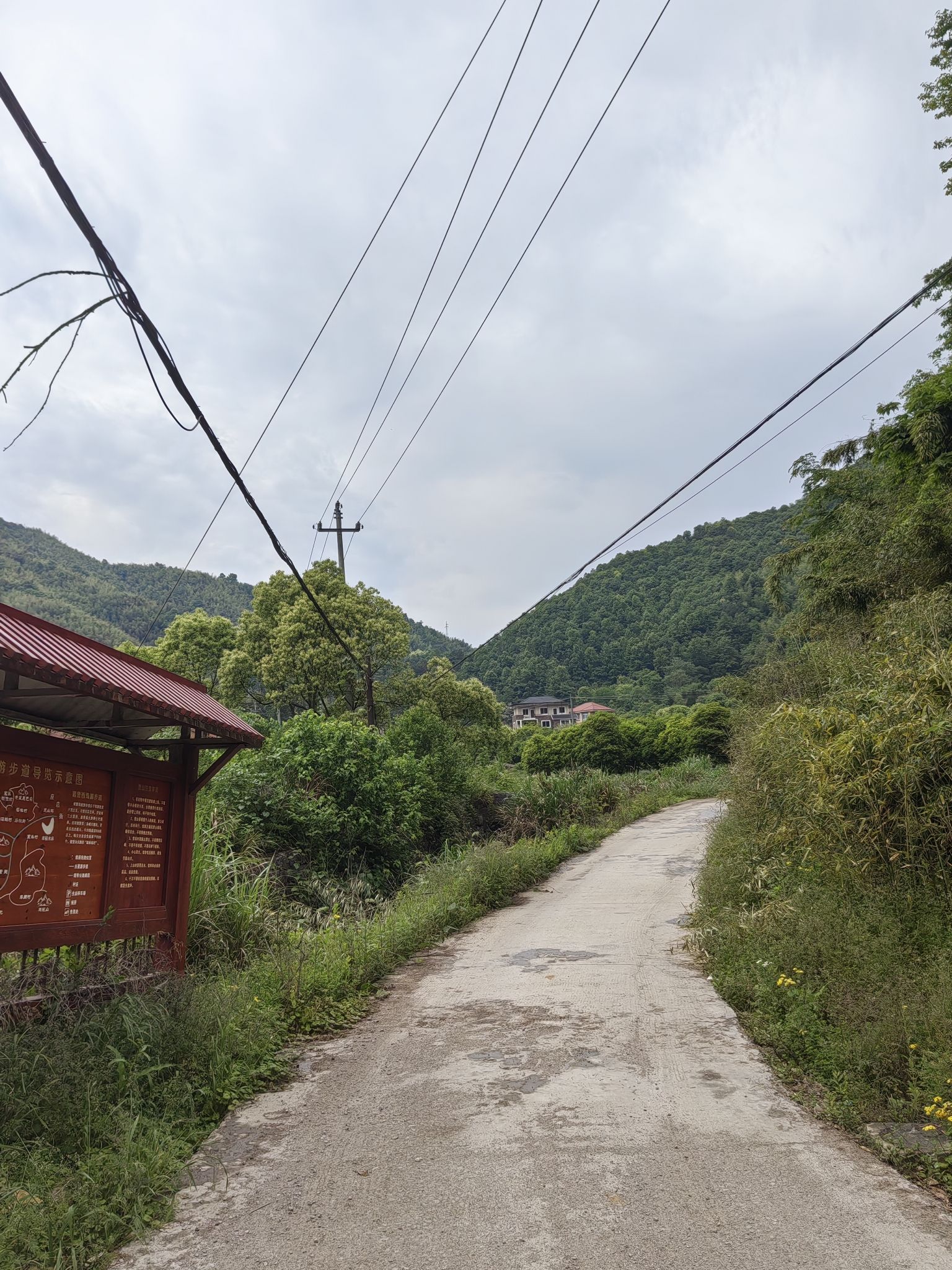 诸富游步道旅行图片 3