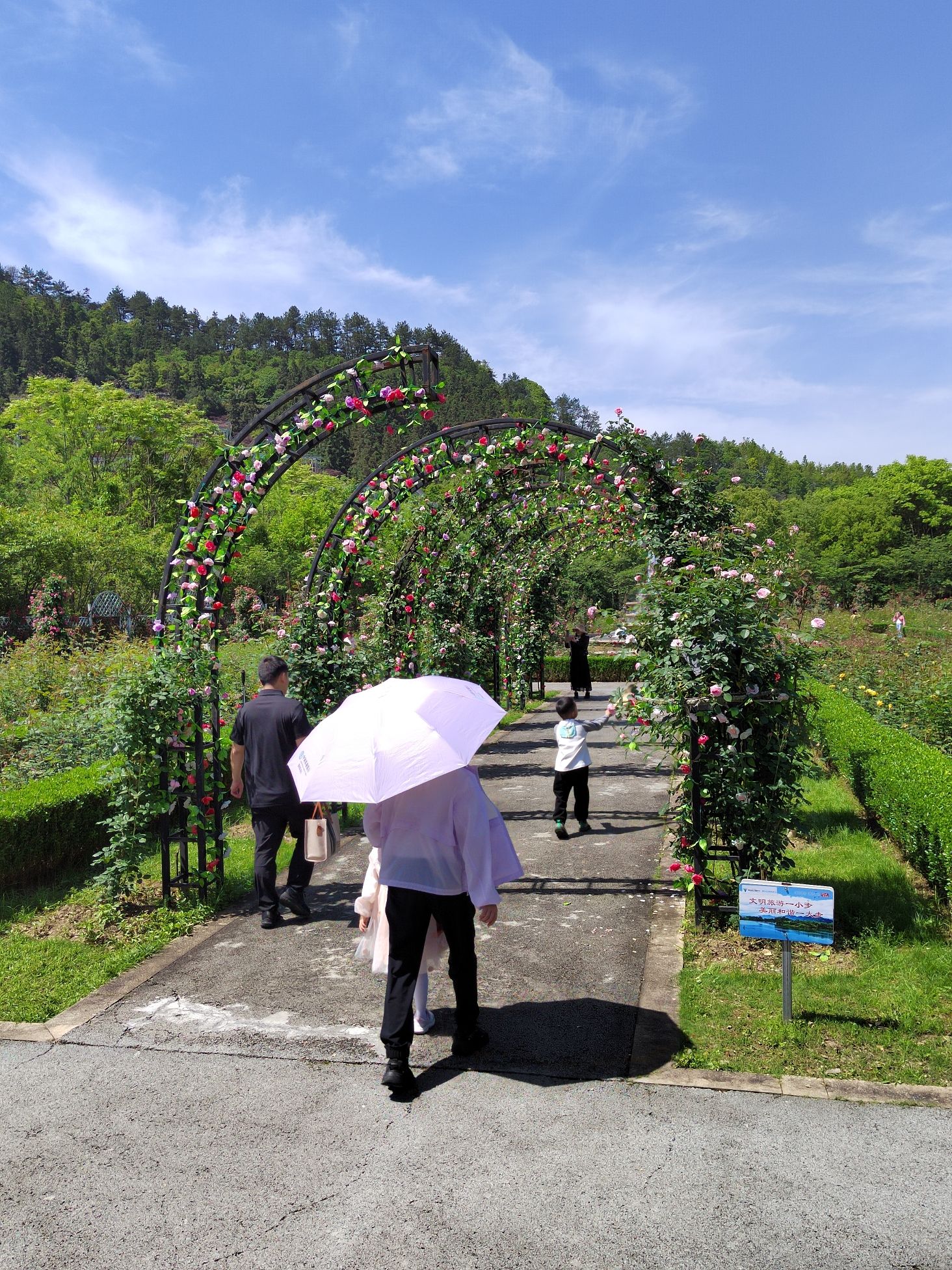 金星村度假区旅行图片 2