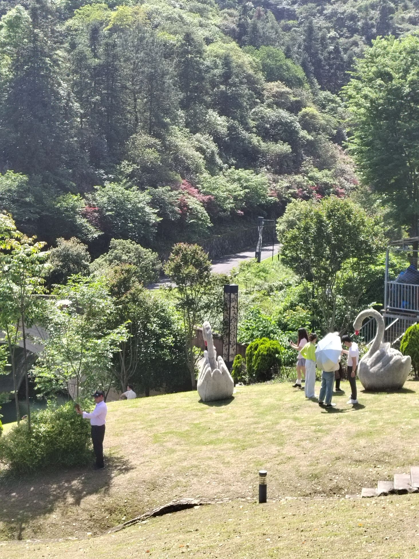 金星村度假区旅行图片 3