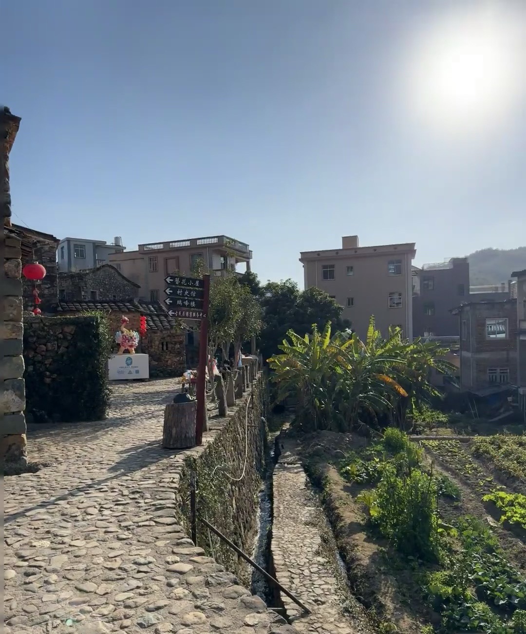 中国传统古村落樟脚村古民居旅行图片 3