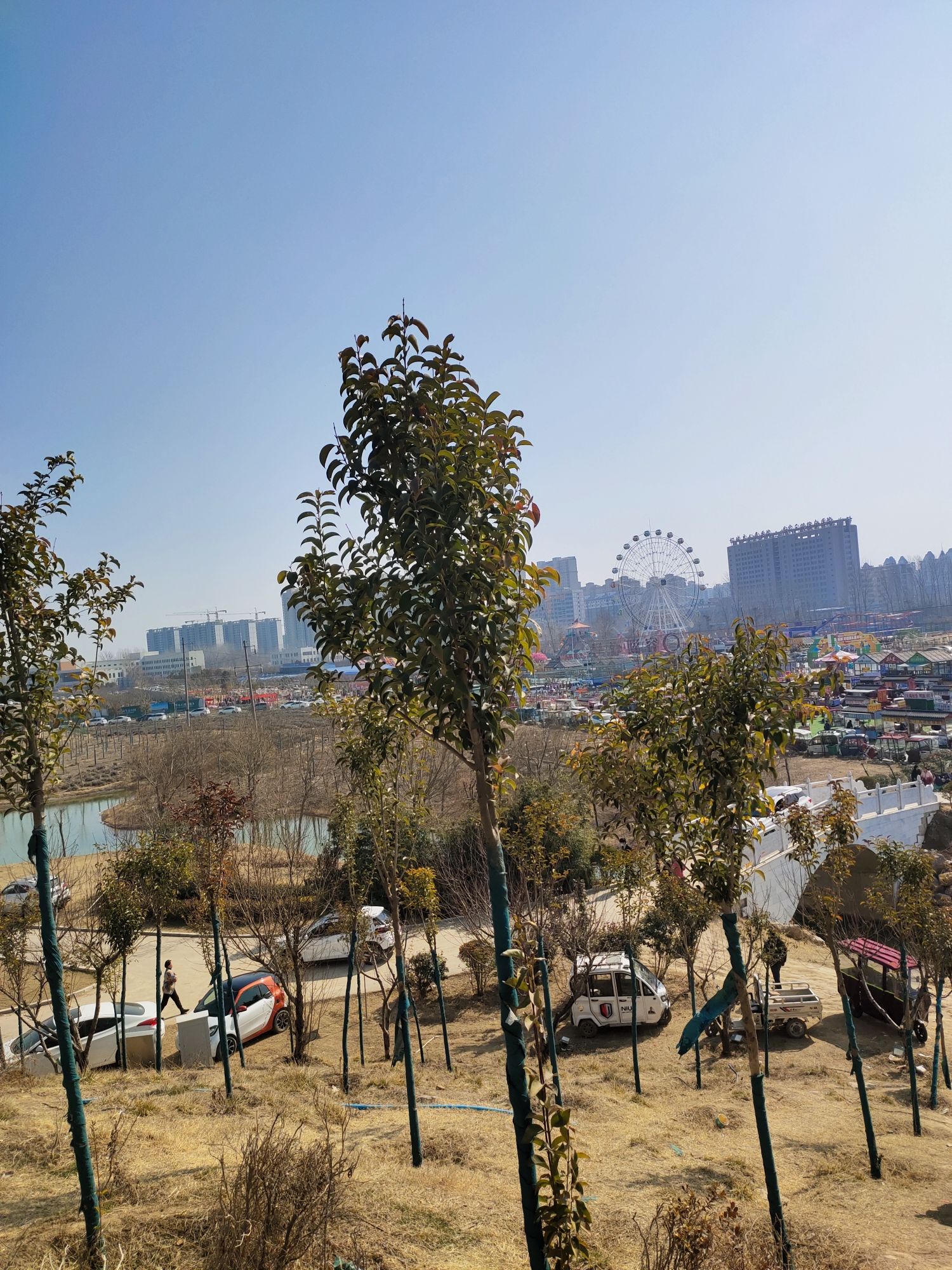 山湖公园旅行图片 3