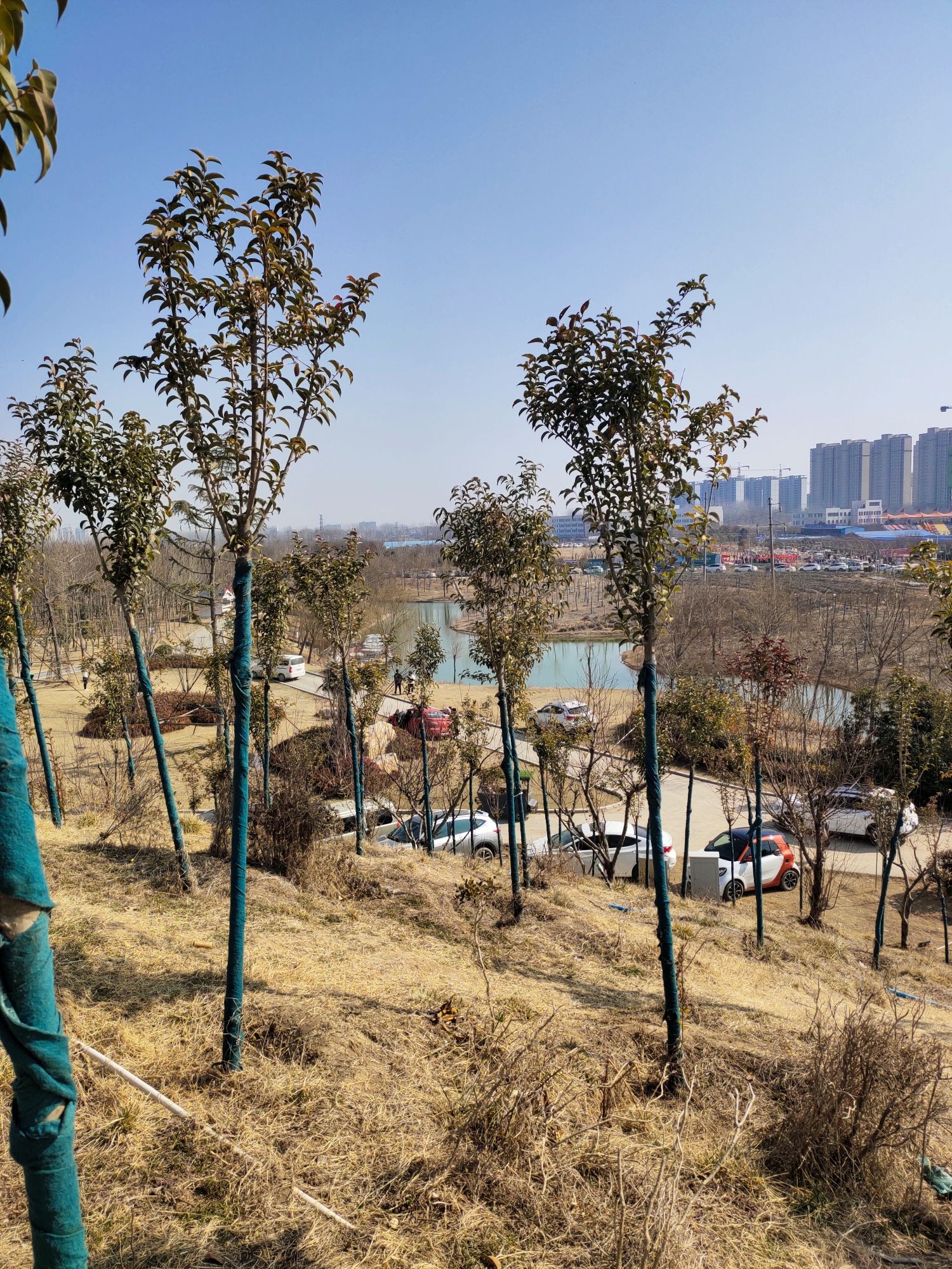山湖公园旅行图片 1