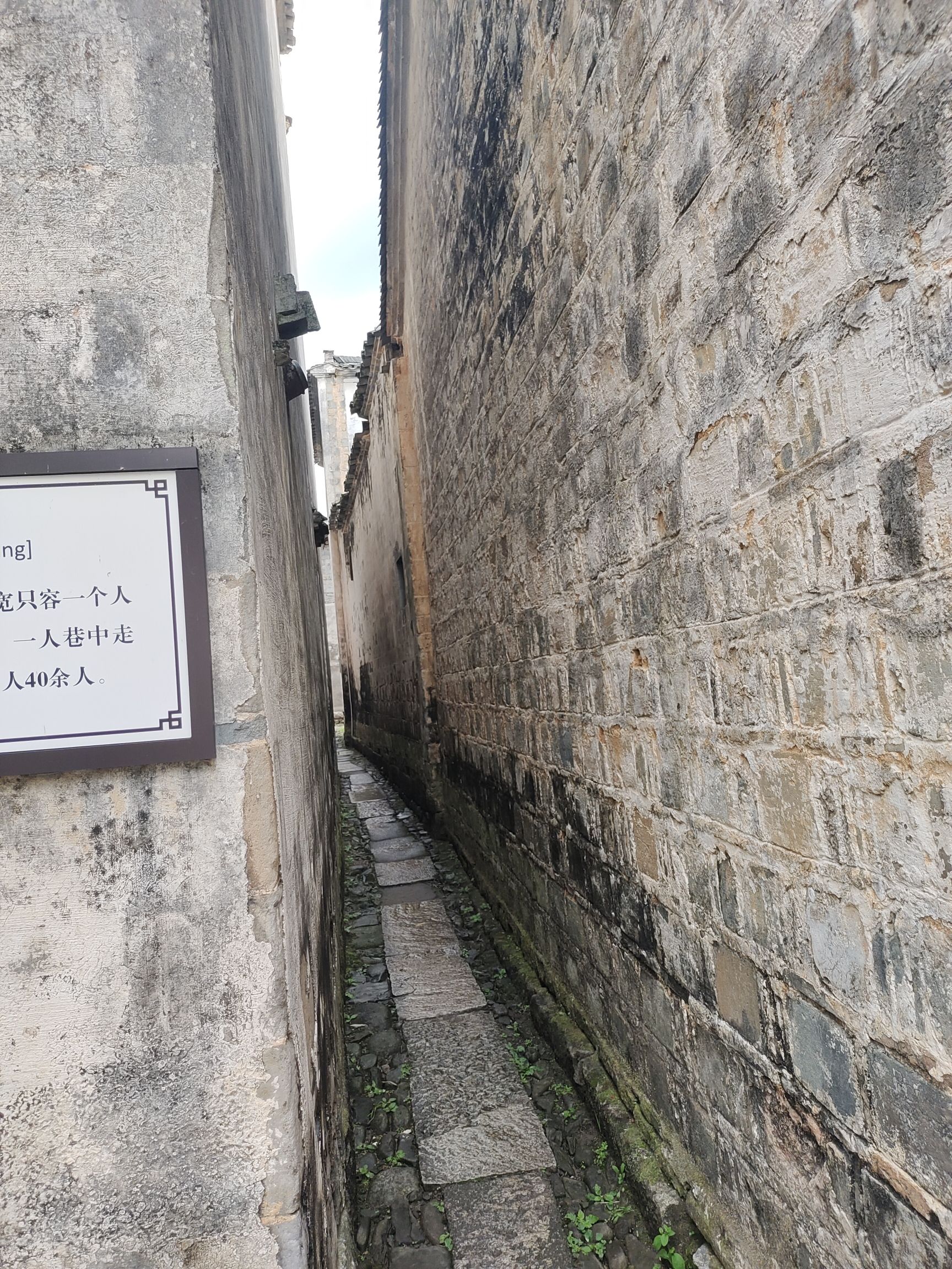 一人巷旅行图片 3