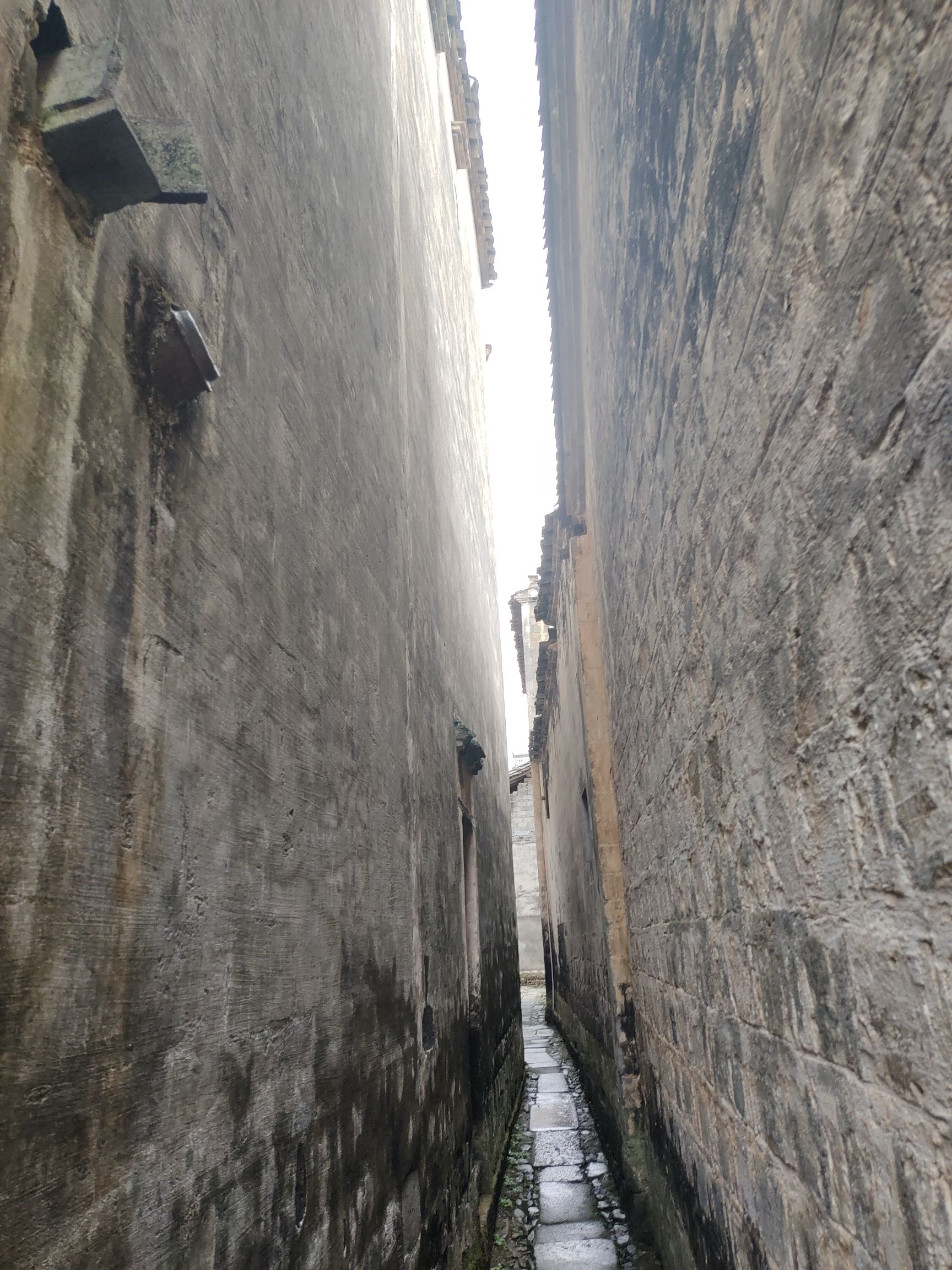 一人巷旅行图片 1