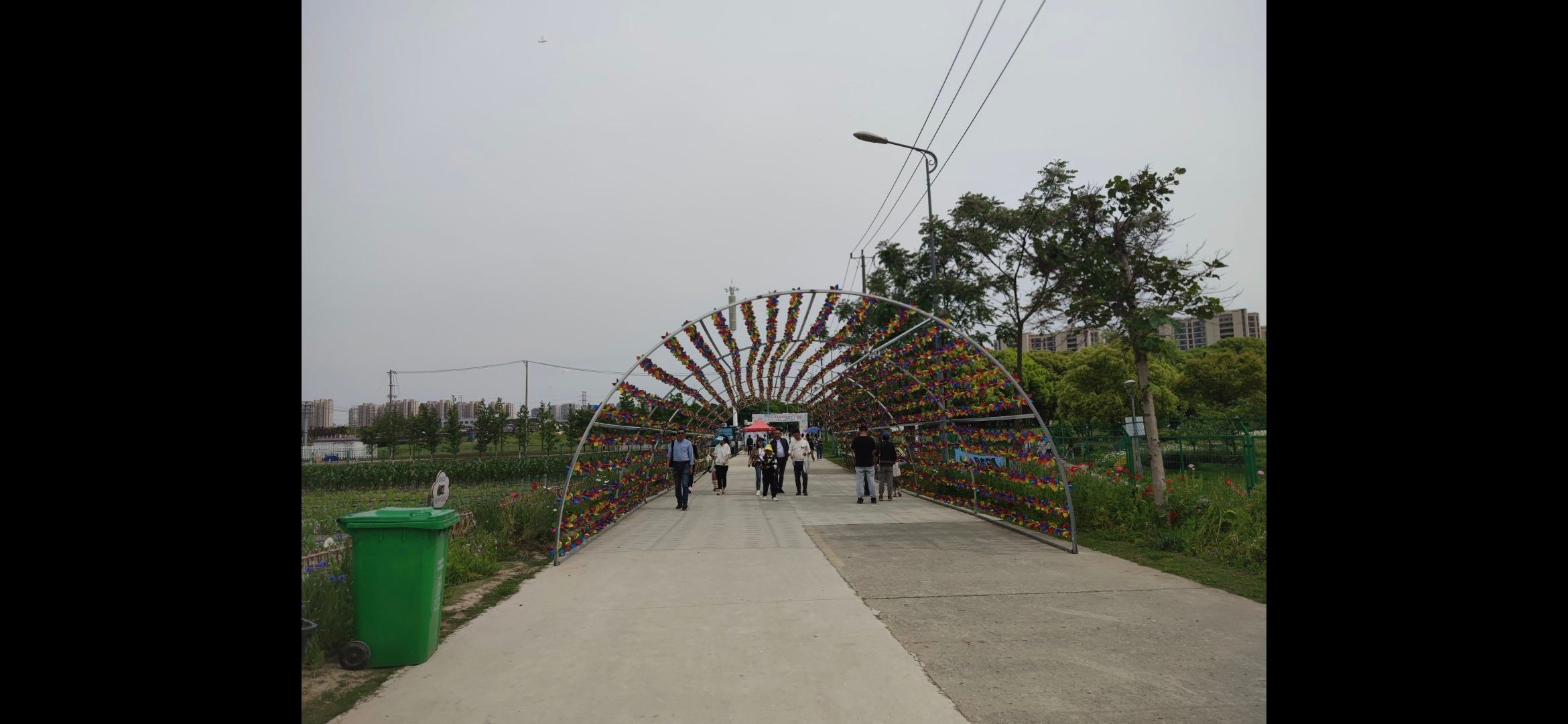 永富路花海旅行图片 1