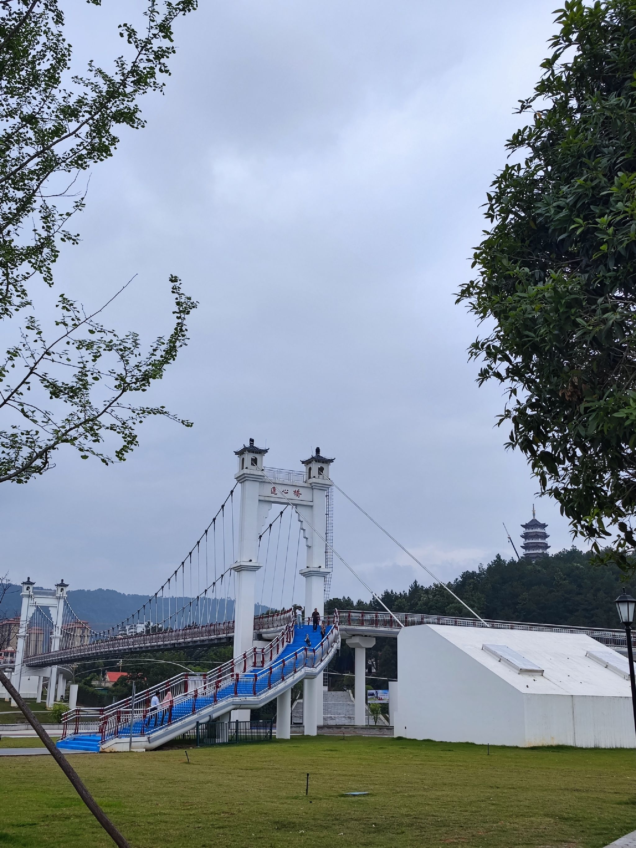永新生态湿地公园旅行图片 1
