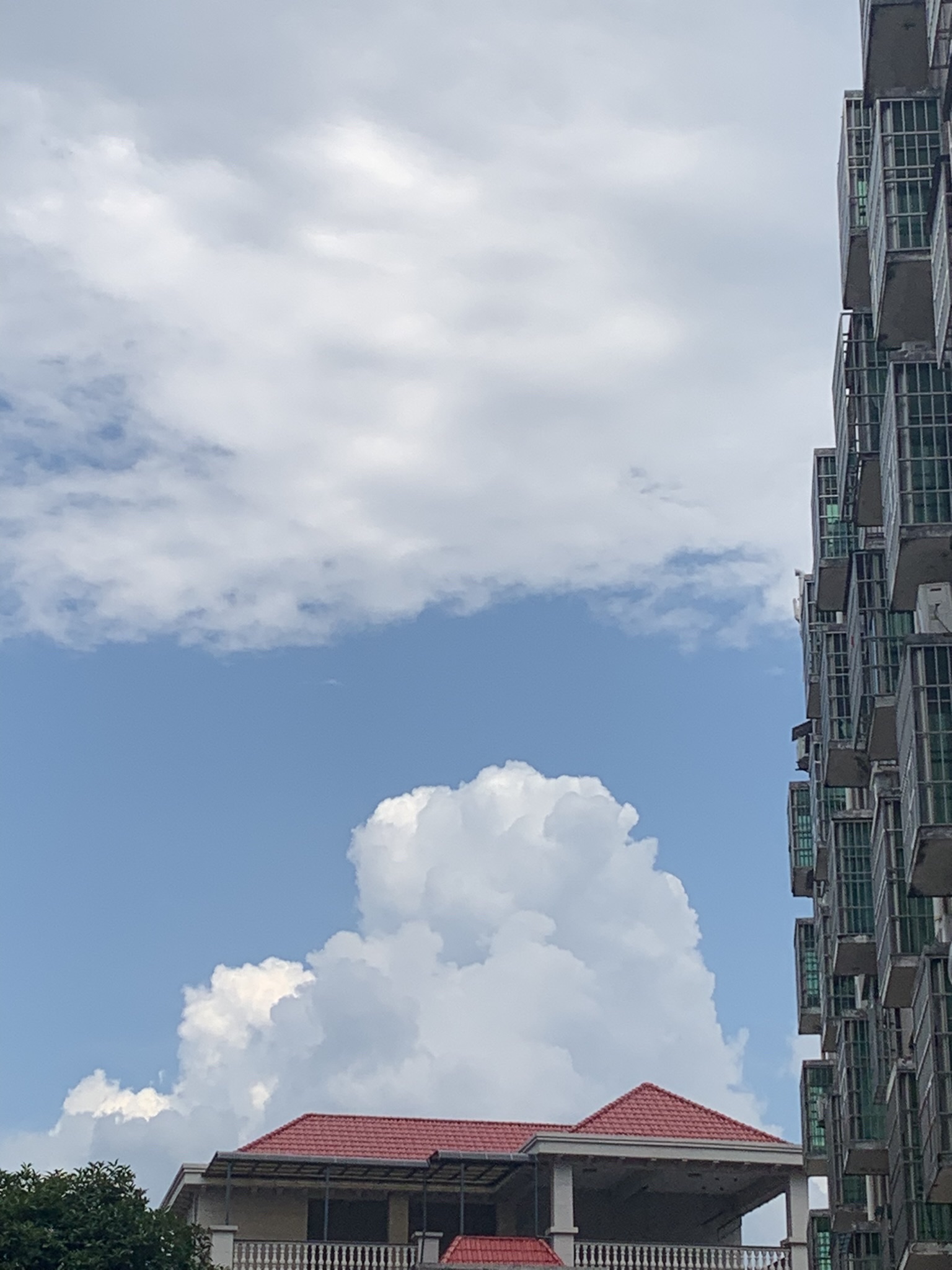 永新生态湿地公园旅行图片 2