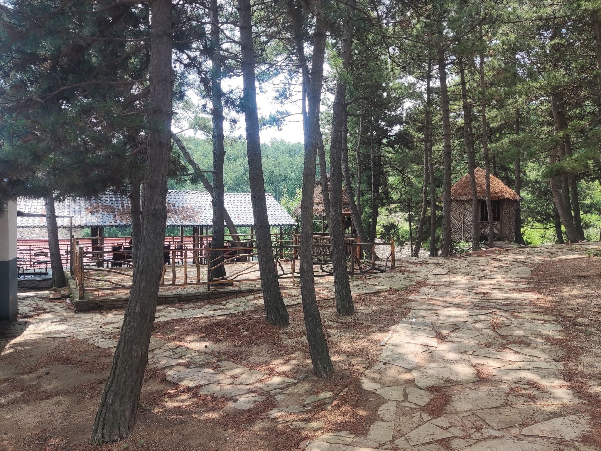 仙台山旅行图片 3
