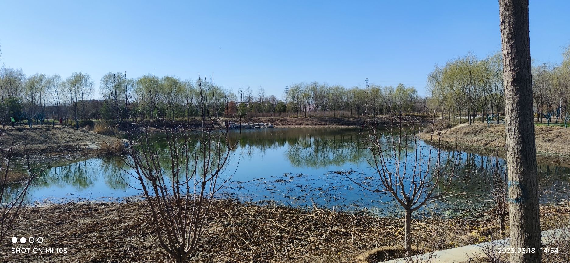 杨各庄湿地公园旅行图片 3