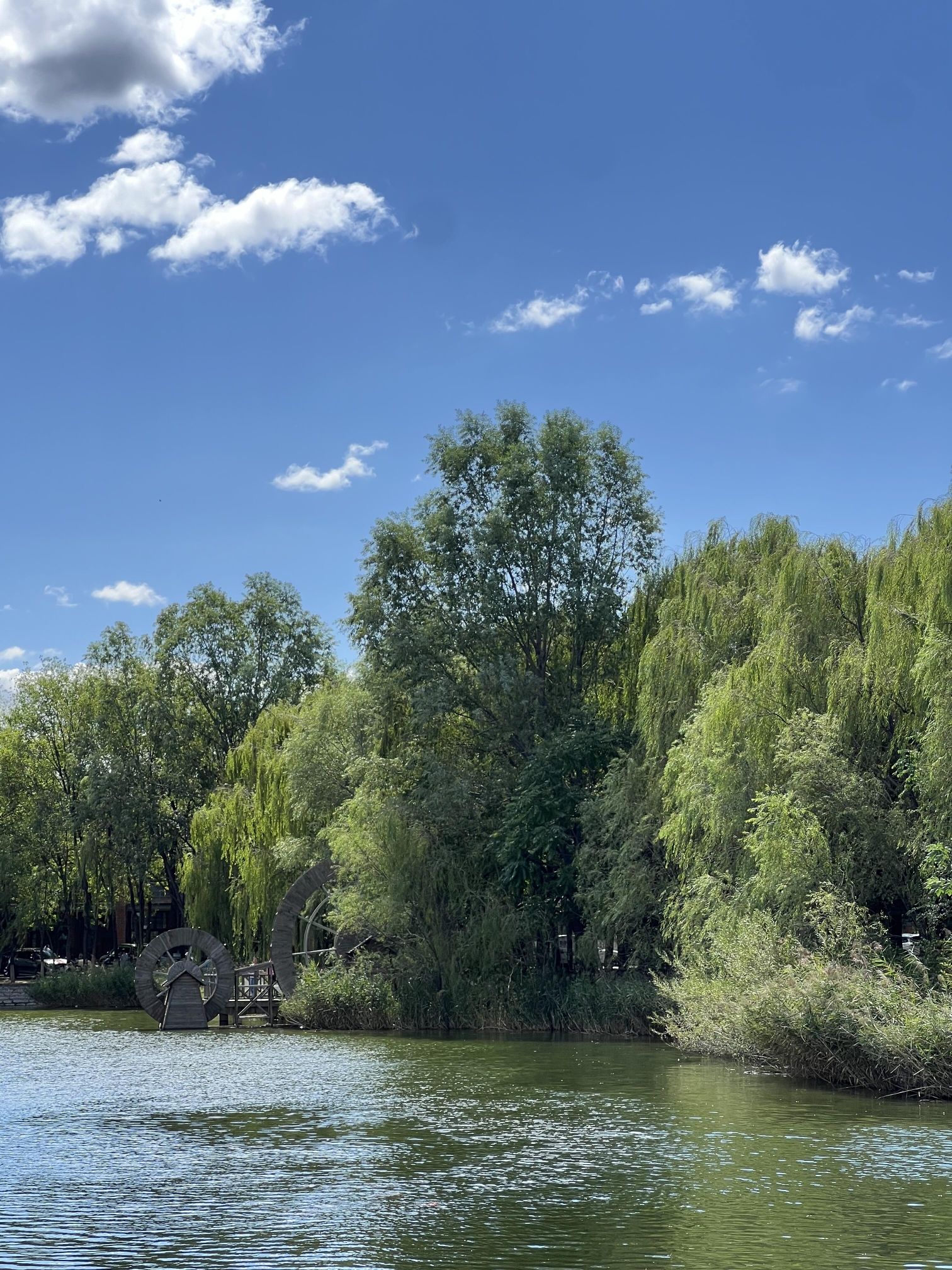 杨各庄湿地公园旅行图片 2